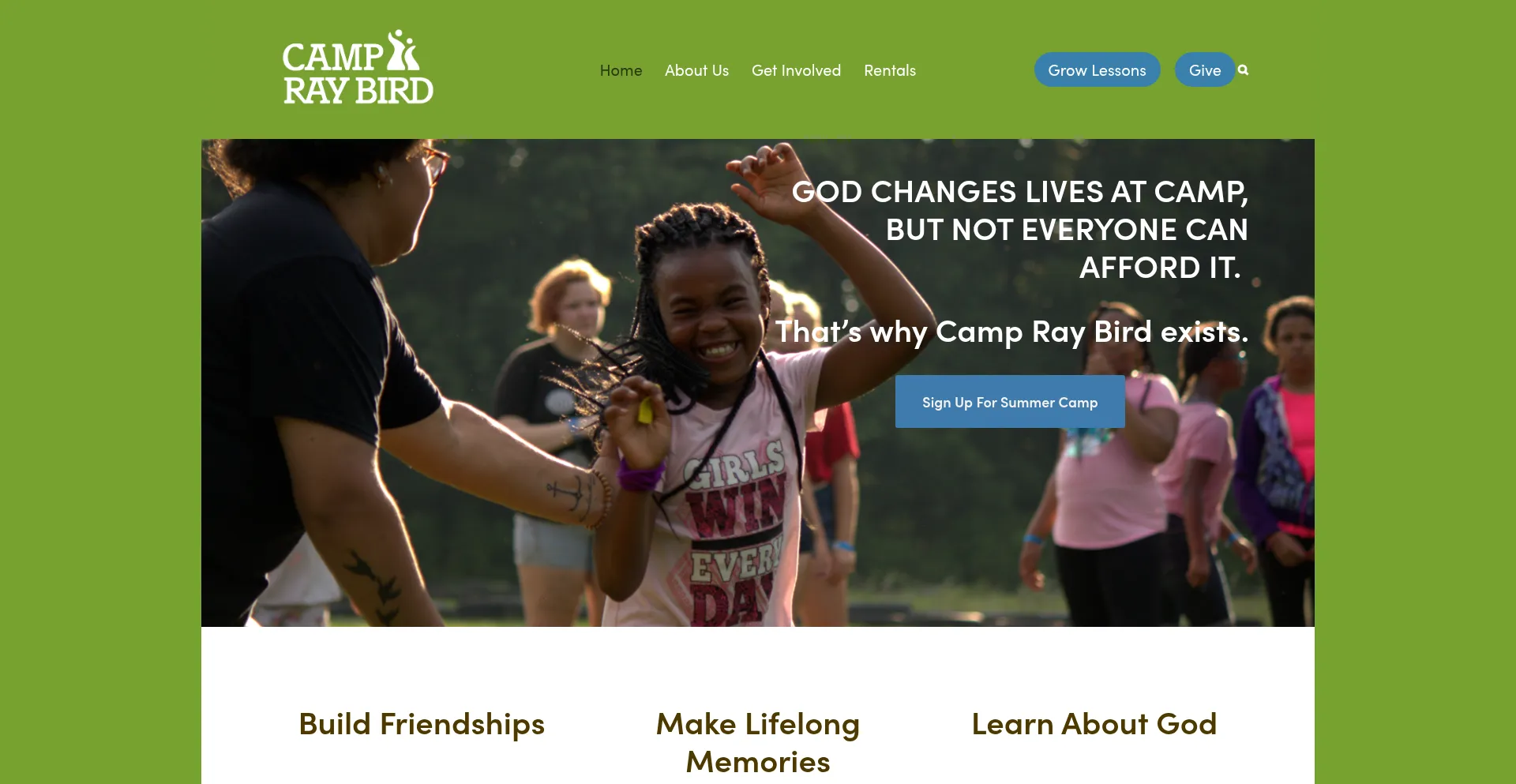 Website screenshot of Raybird.org