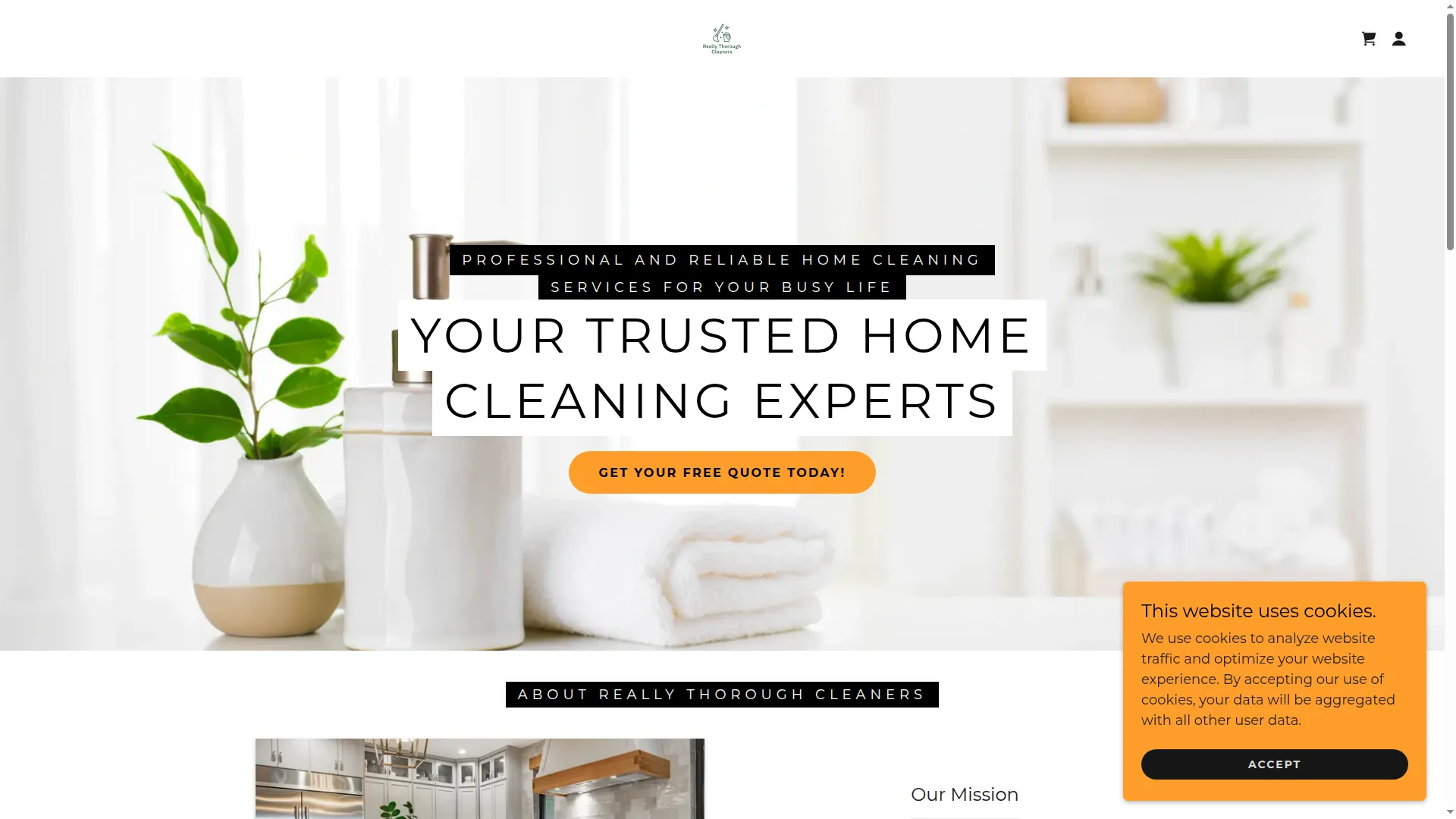 Reallythoroughcleaners.com