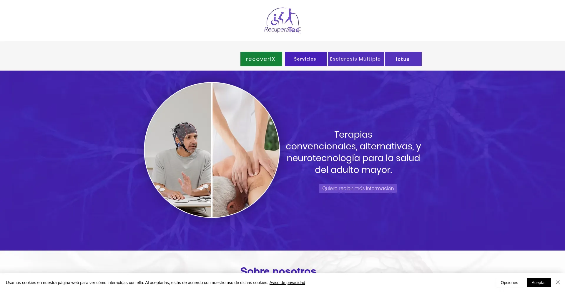 Website screenshot of Recuperatec.com