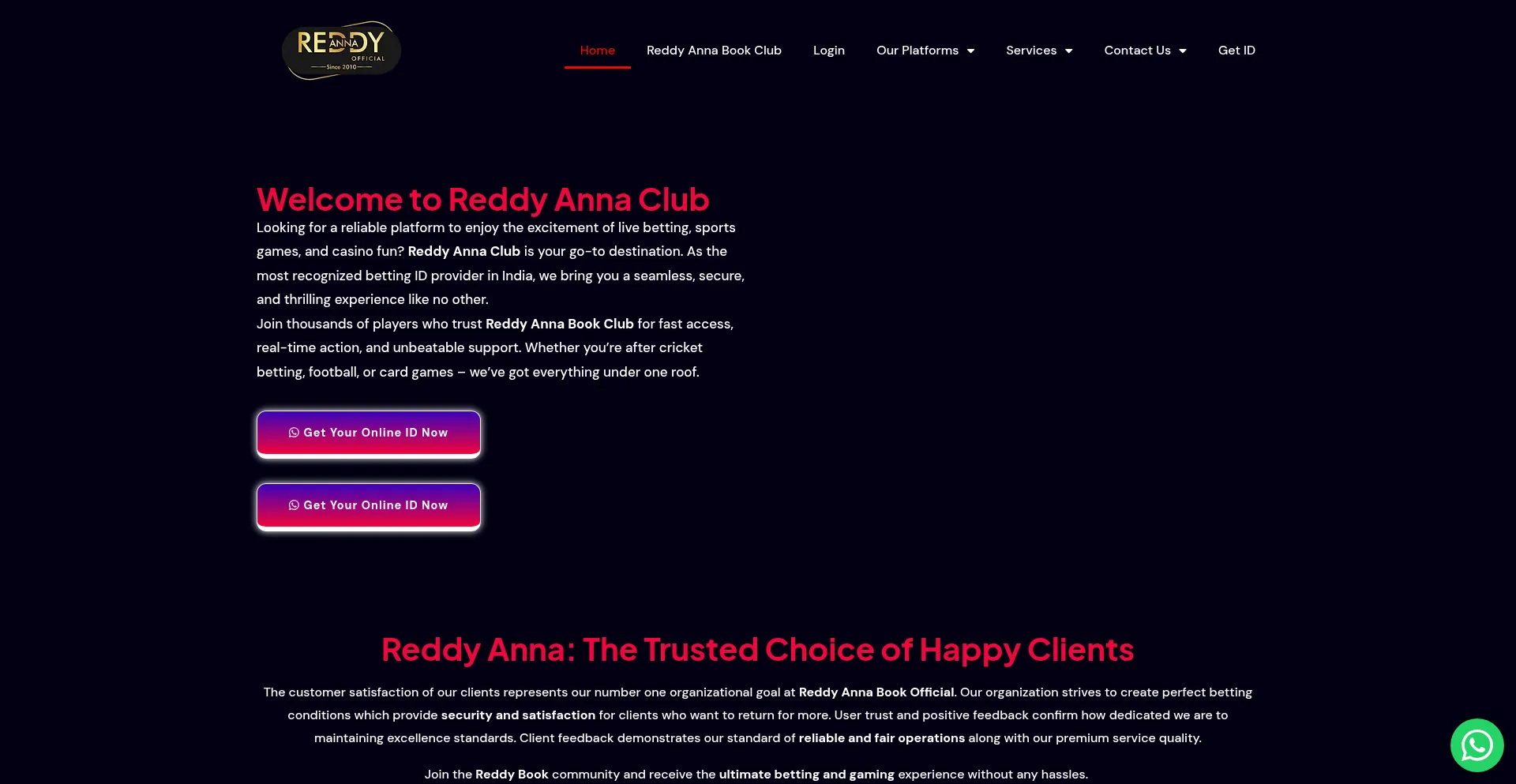 Website screenshot of Reddyanna.guru