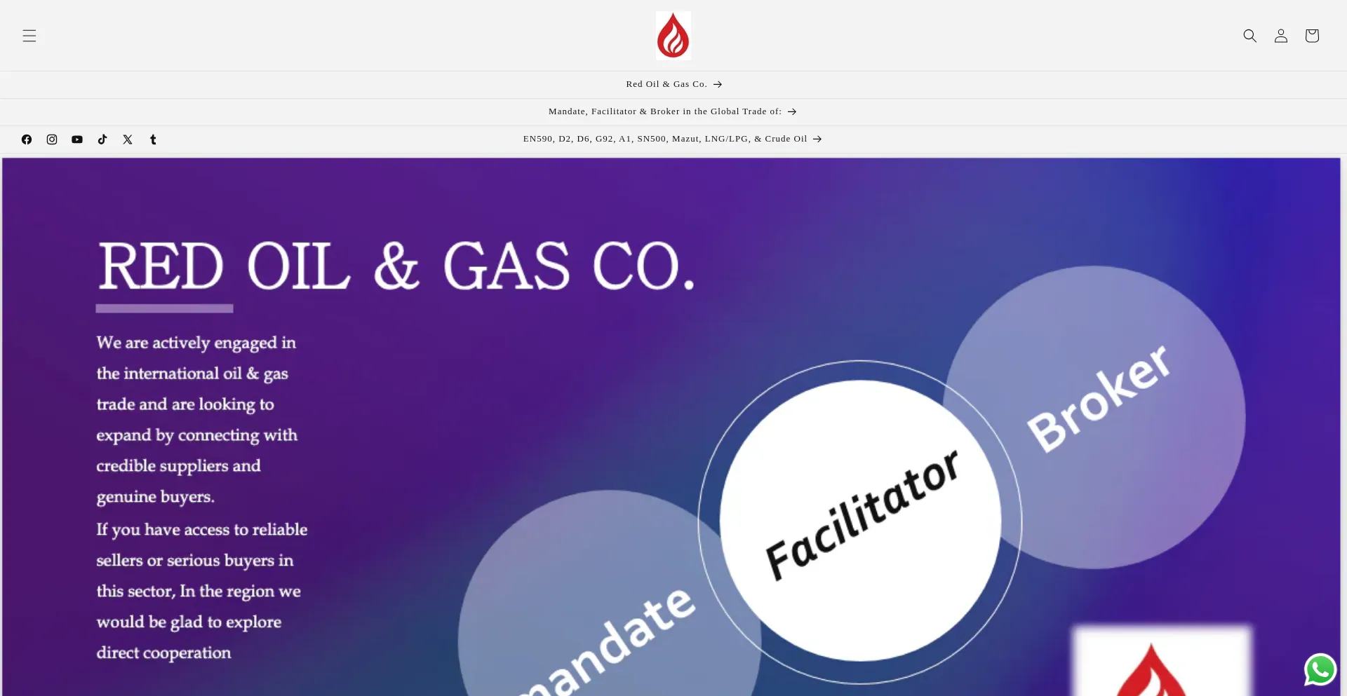 Website screenshot of Redoilgas.com