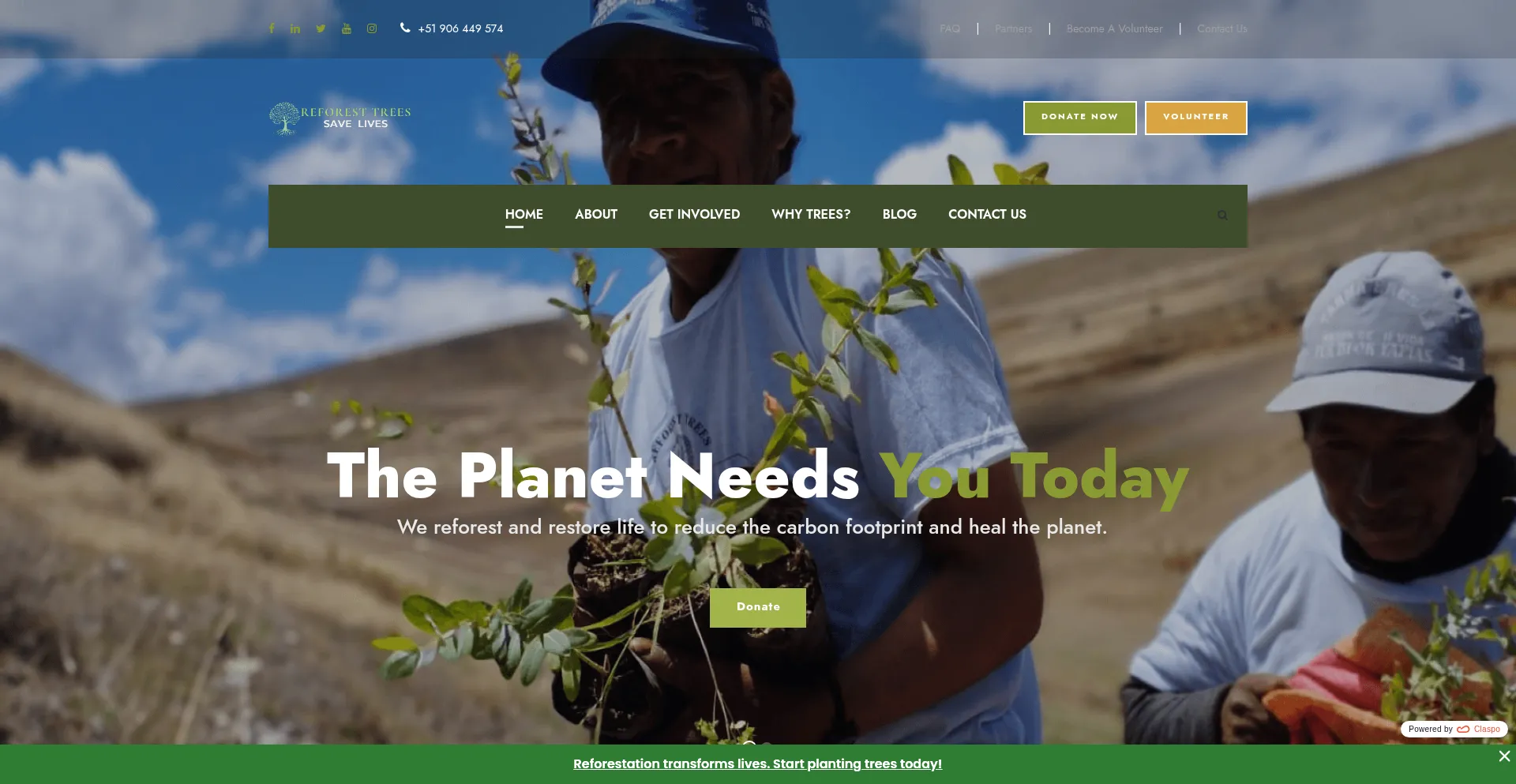 Reforestrees.org 安全可靠吗？