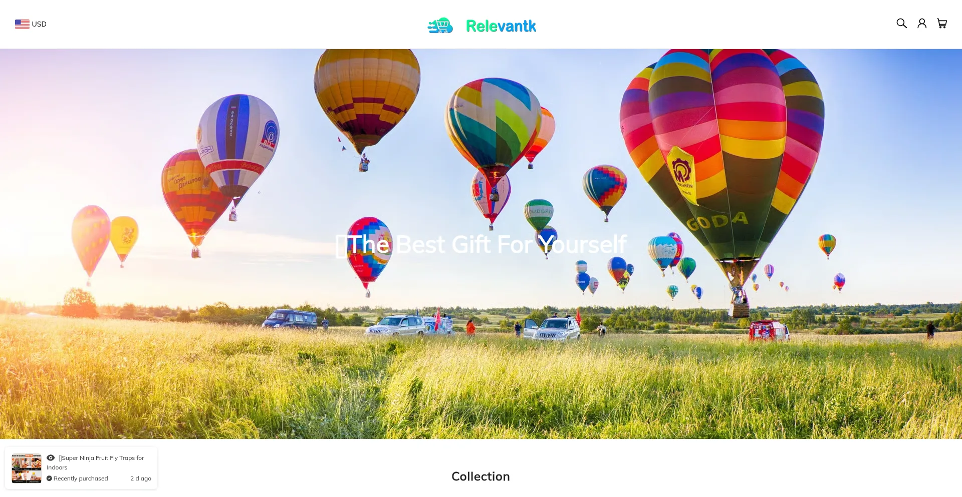 Website screenshot of Relevantk.com