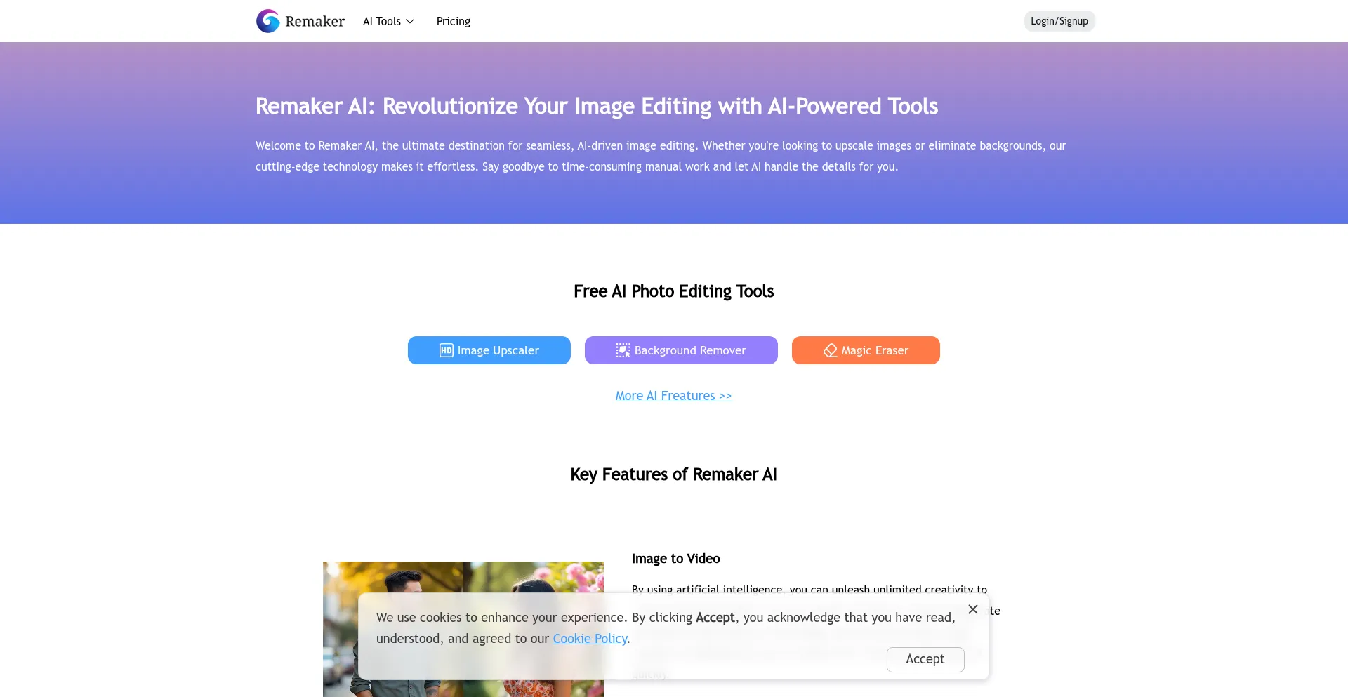 Website screenshot of Remaker.ai