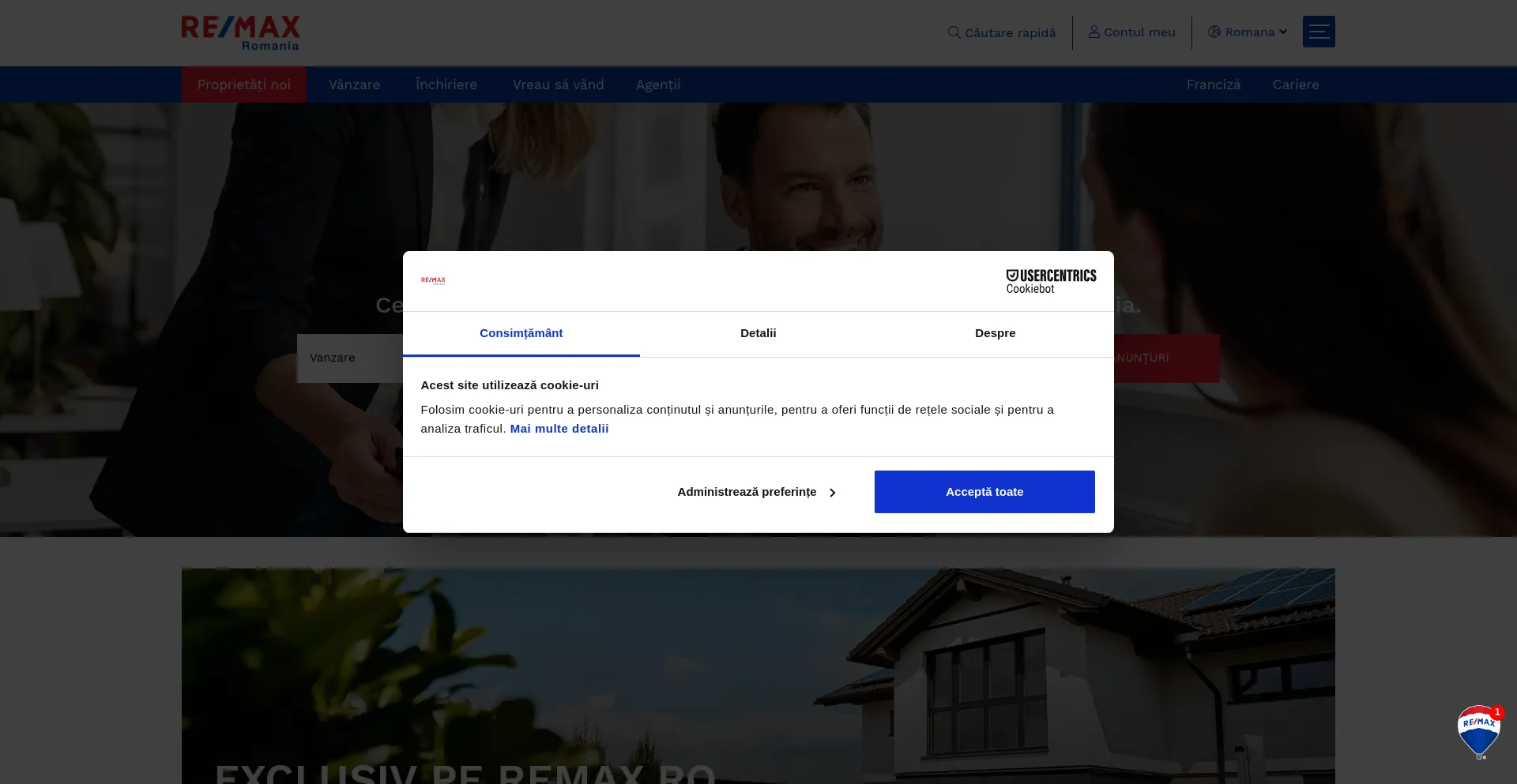 Website screenshot of Remax.ro