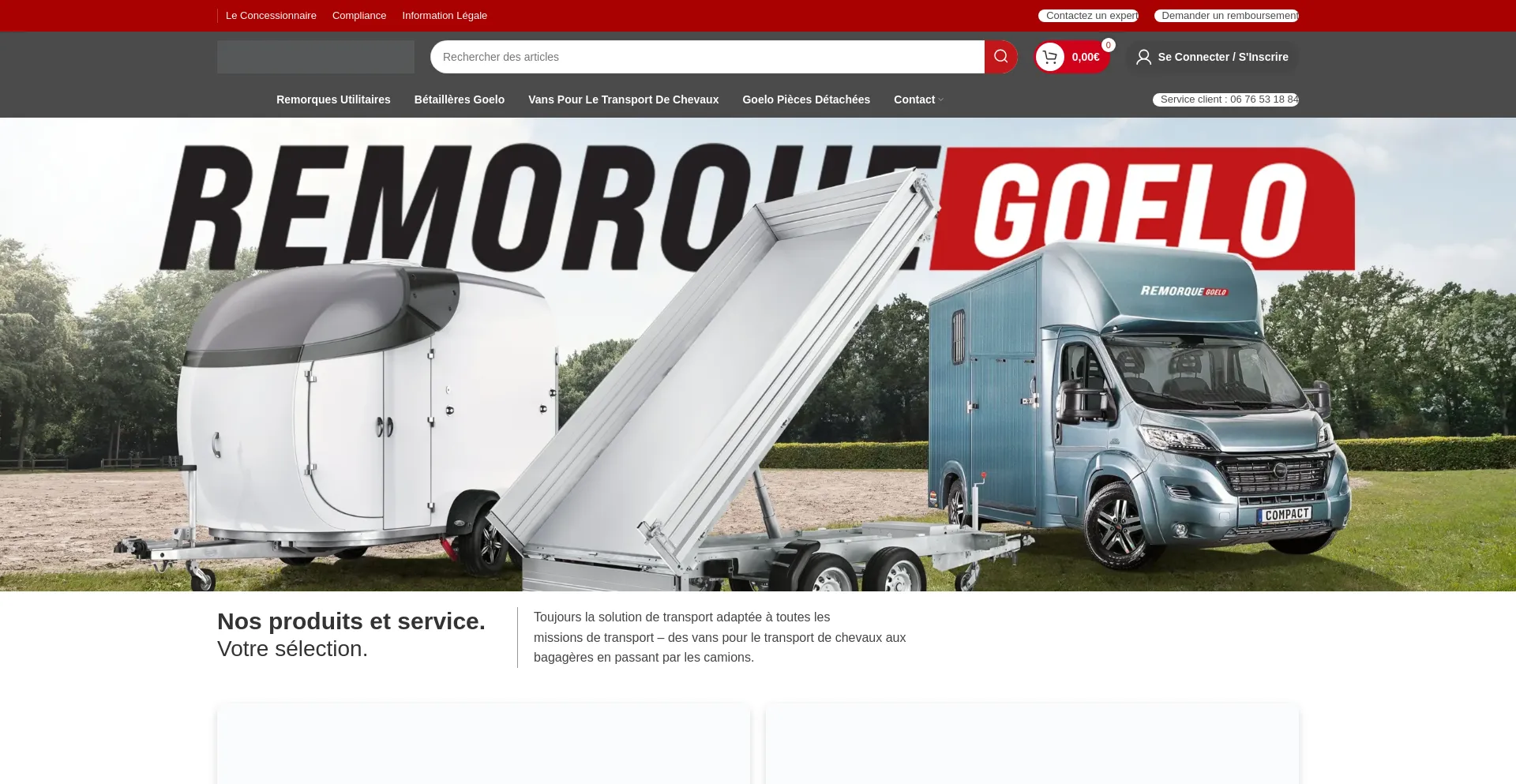 Website screenshot of Remorquegoelo.com