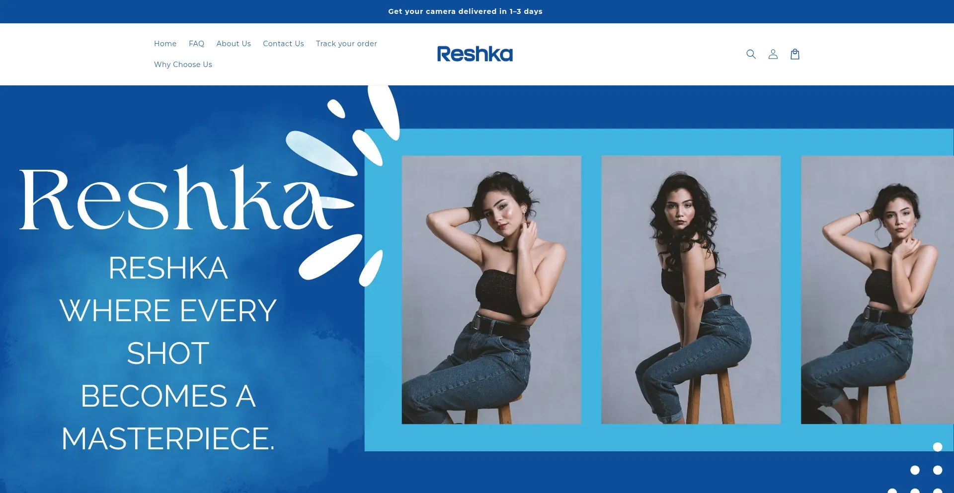 Website screenshot of Reshka.shop