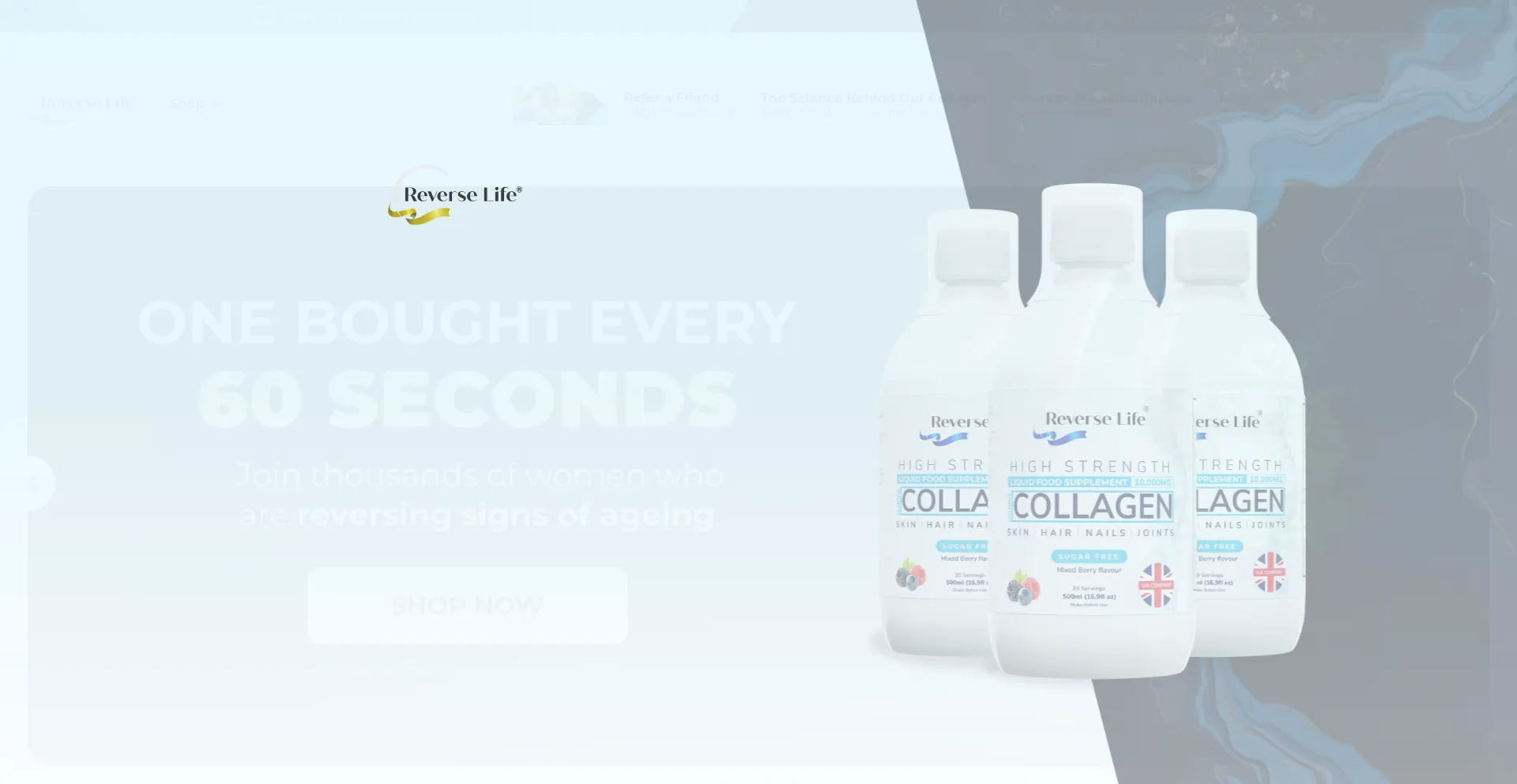 Website screenshot of Reverselife.co.uk