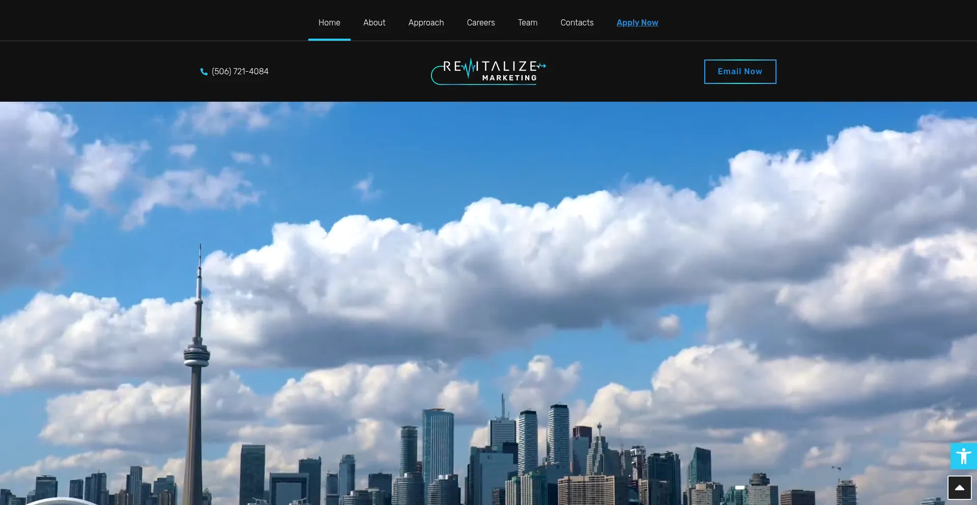 Website screenshot of Revitalizemarketing.ca