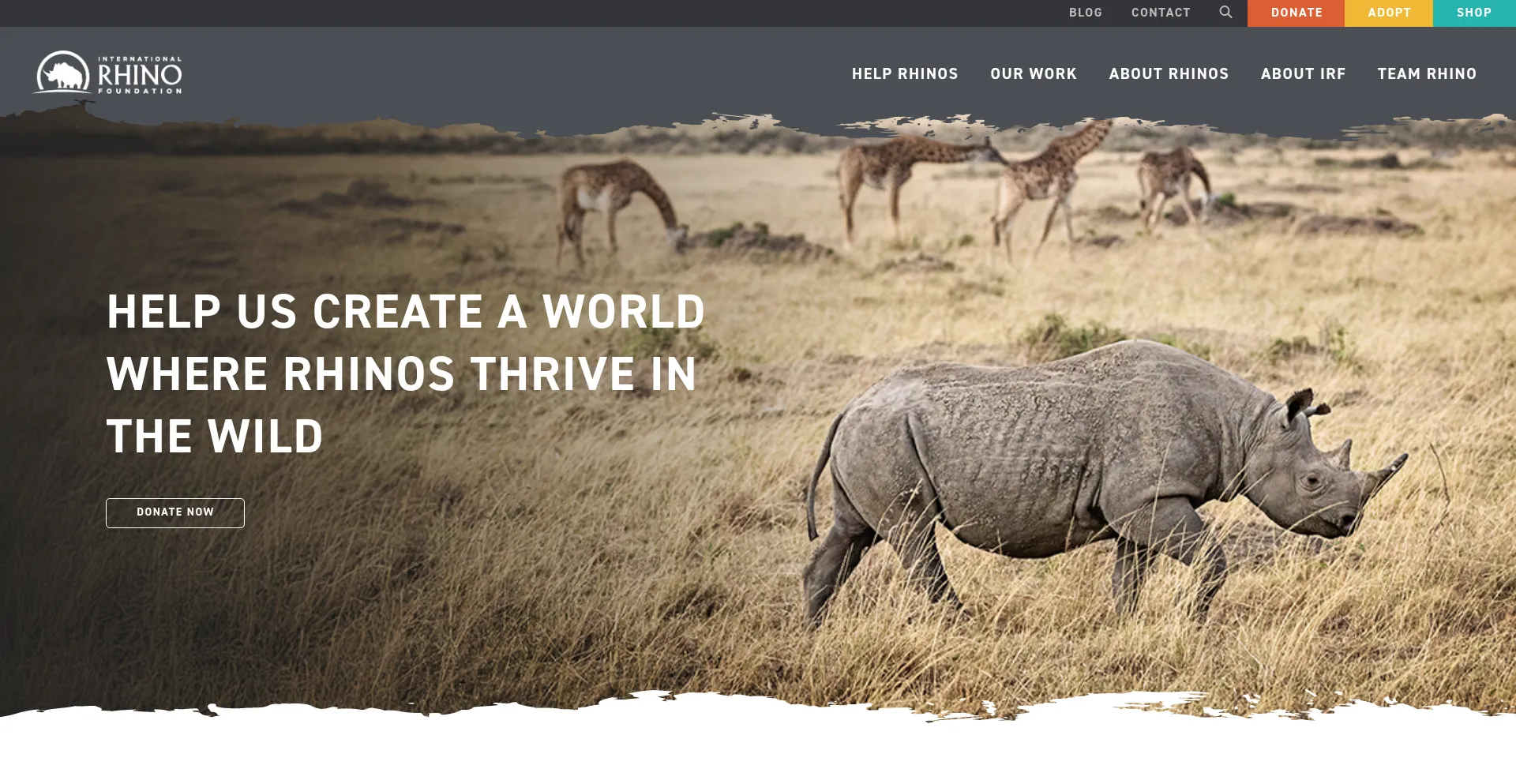 Rhinos.org