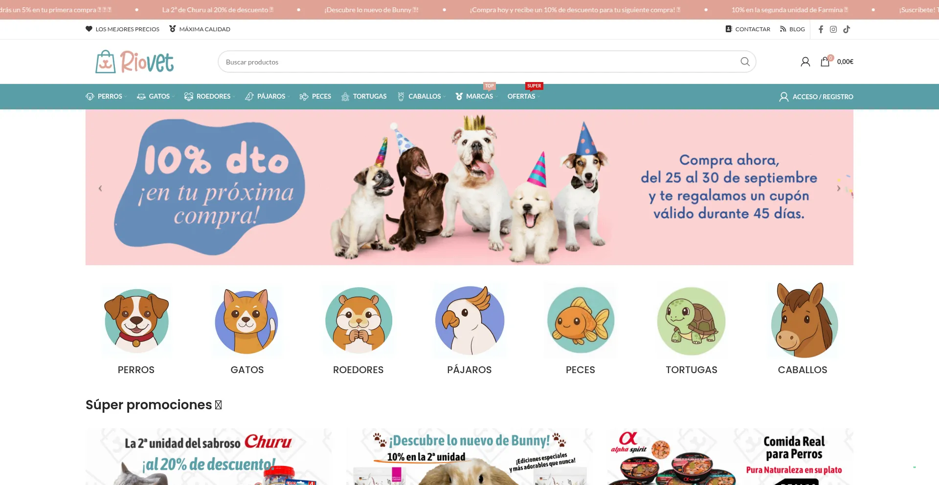 Riovet.es Screenshot