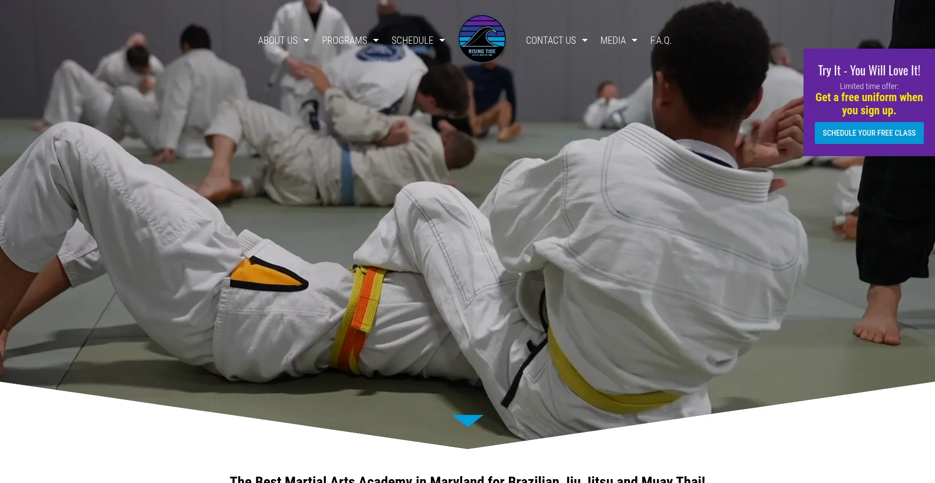 Risingtidemartialarts.us 安全可靠吗？