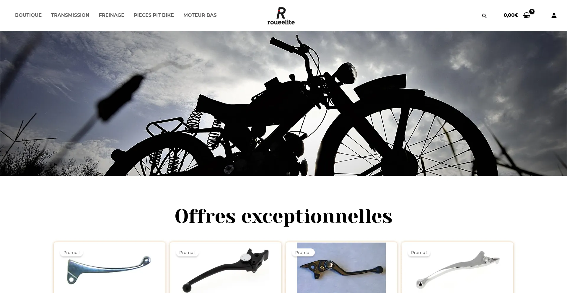 Roueelite.com Screenshot