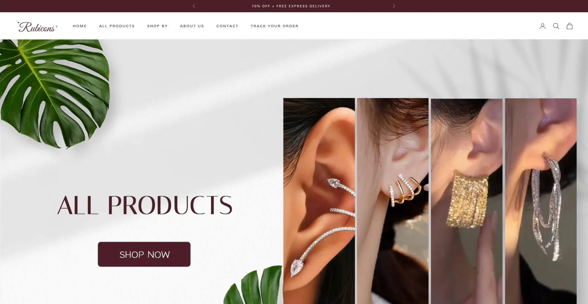 Website screenshot of Rubicons.in