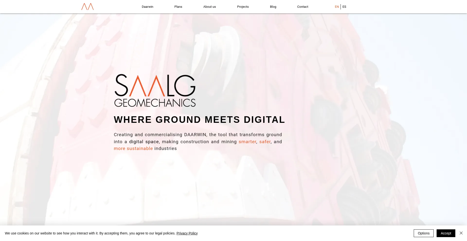 Website screenshot of Saalg.com