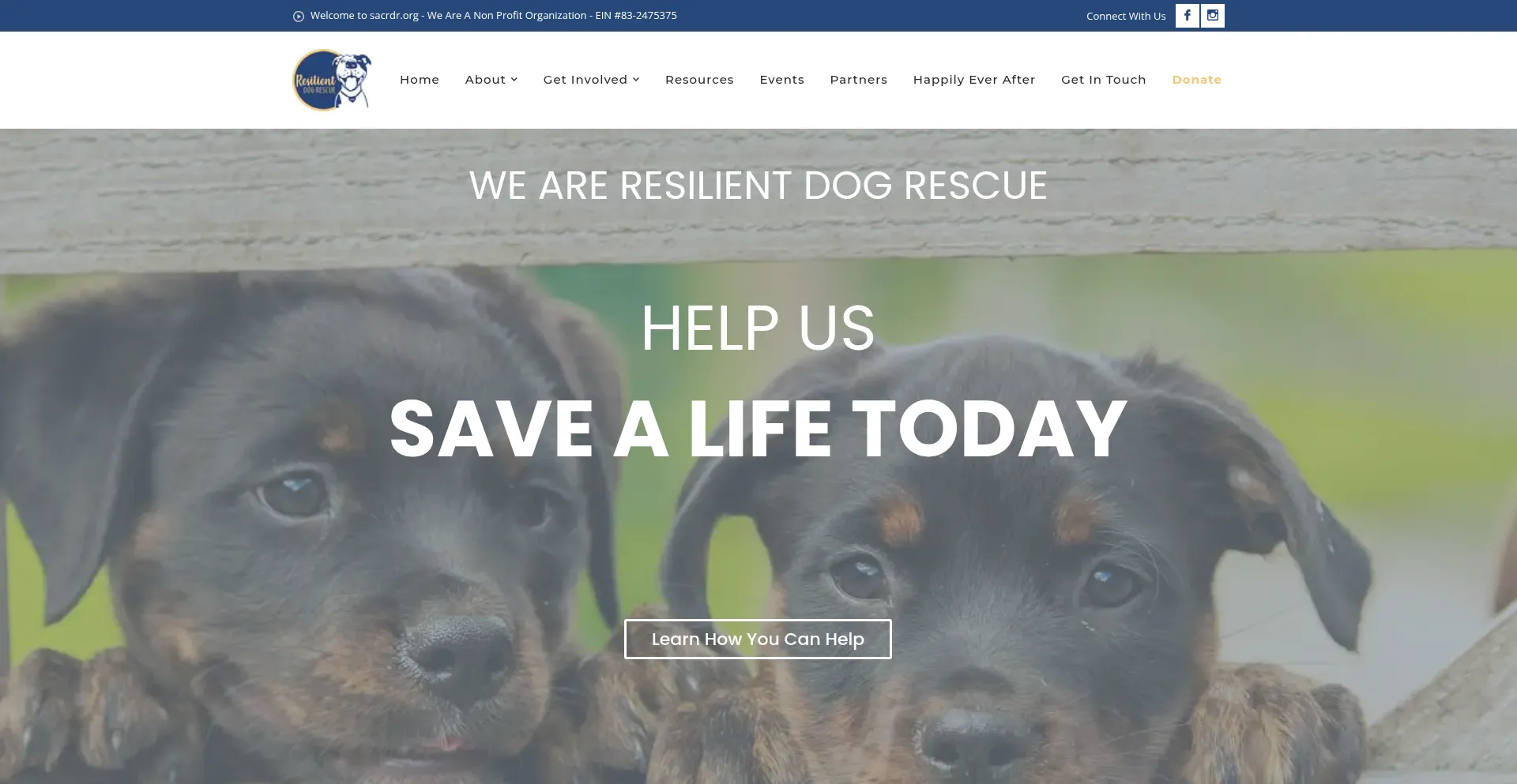 Website screenshot of Sacrdr.org