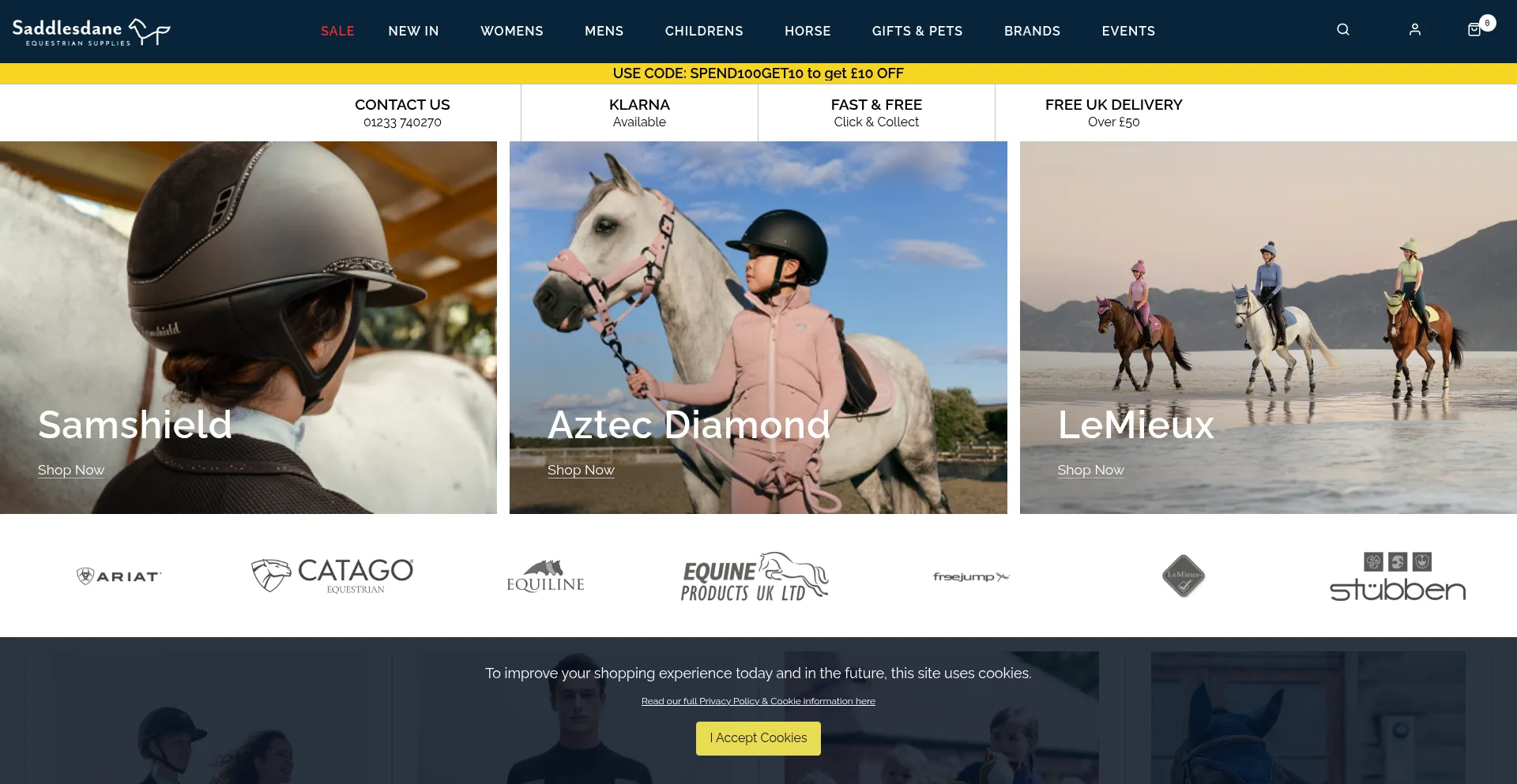 Saddlesdane.co.uk