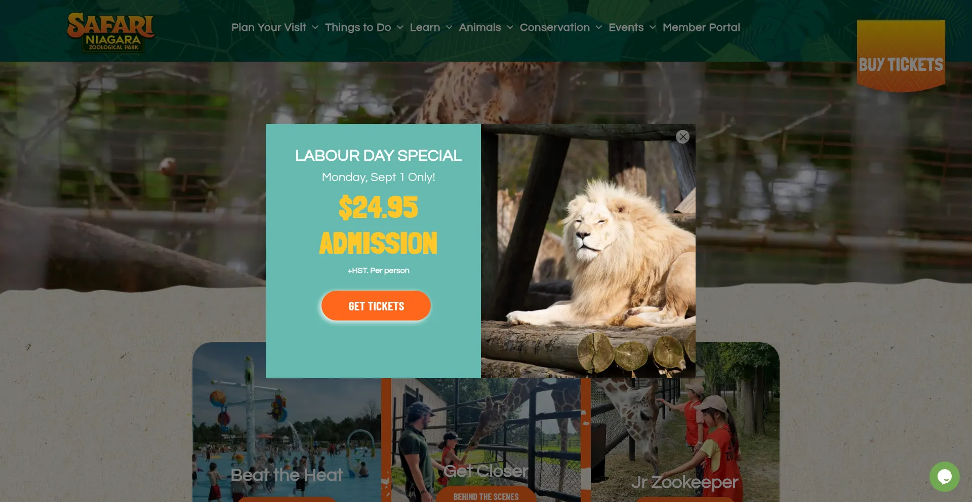 Website screenshot of Safariniagara.com