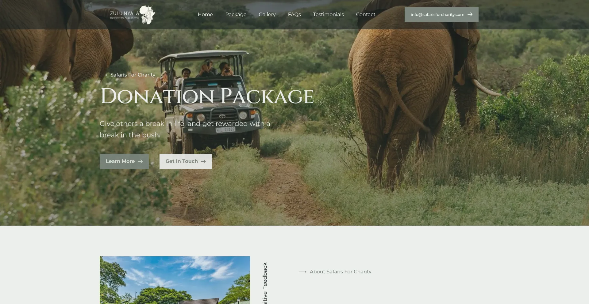 Website screenshot of Safarisforcharity.com