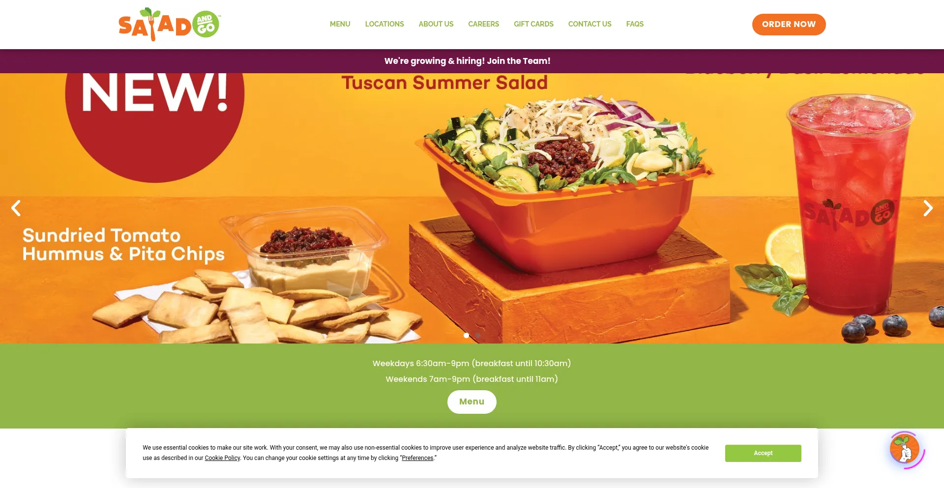 Website screenshot of Saladandgo.com