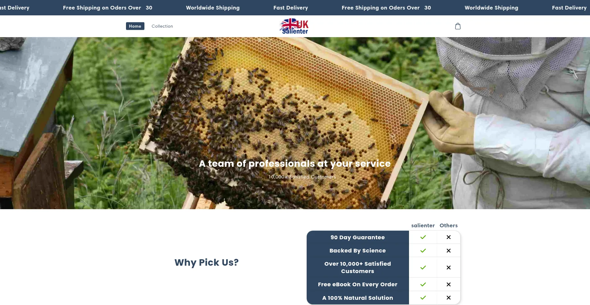 Website screenshot of Salienter.com