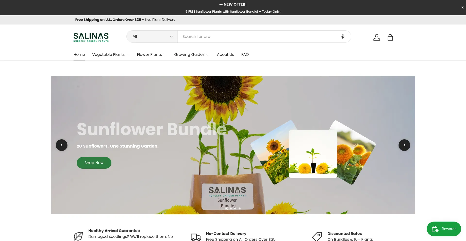 Website screenshot of Salinasnursery.co