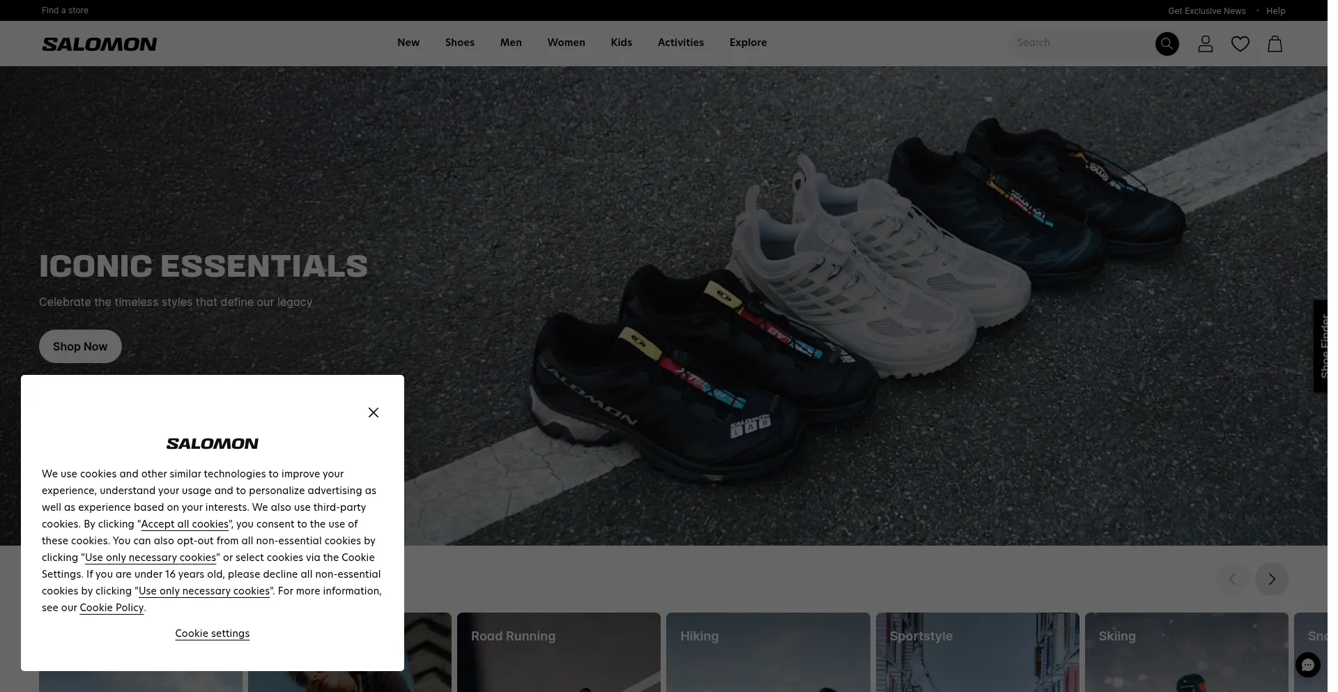 Website screenshot of Salomonbay.com