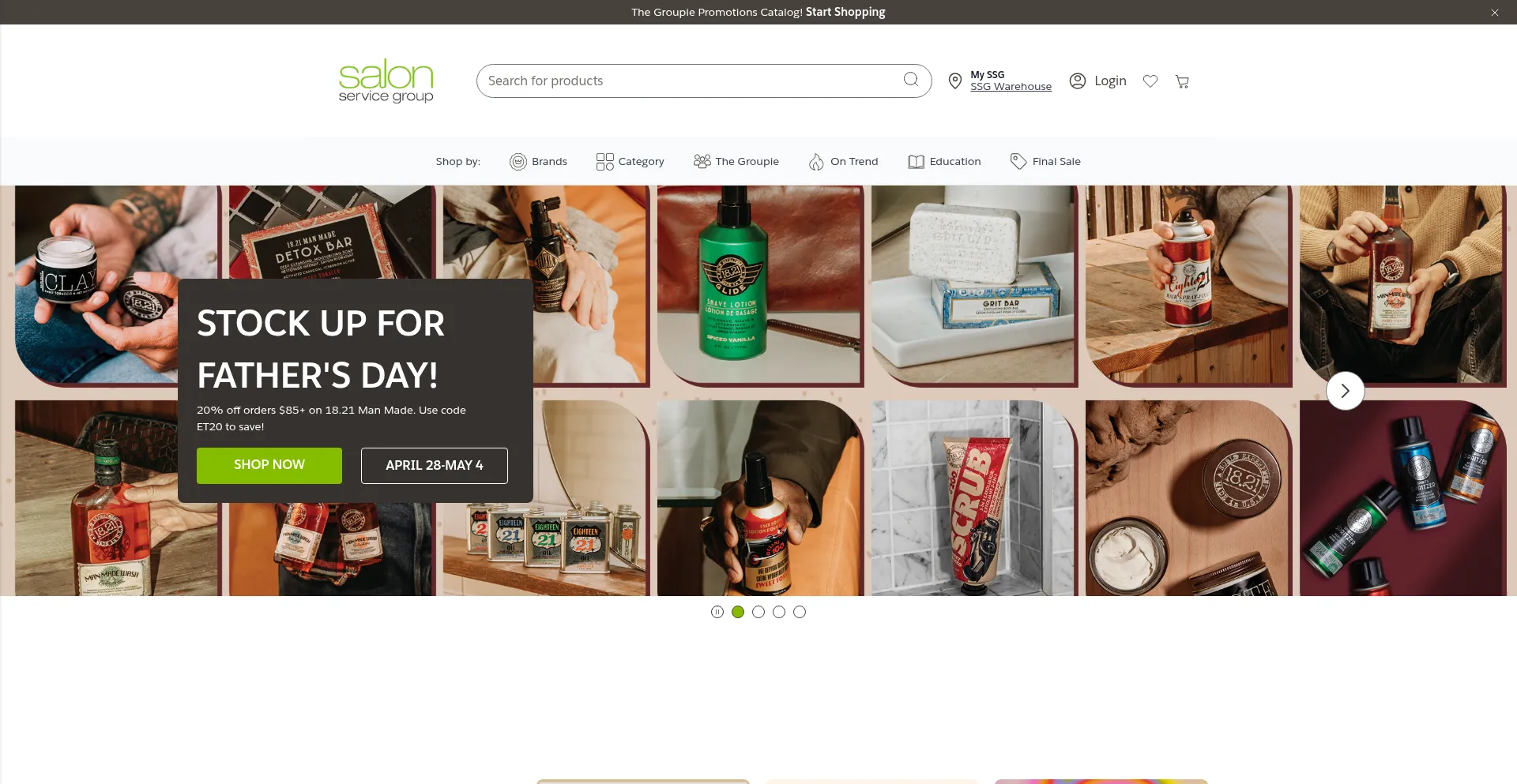 Website screenshot of Salonservicegroup.com