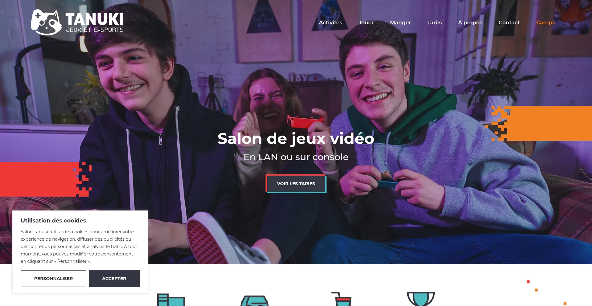 Website screenshot of Salontanuki.com