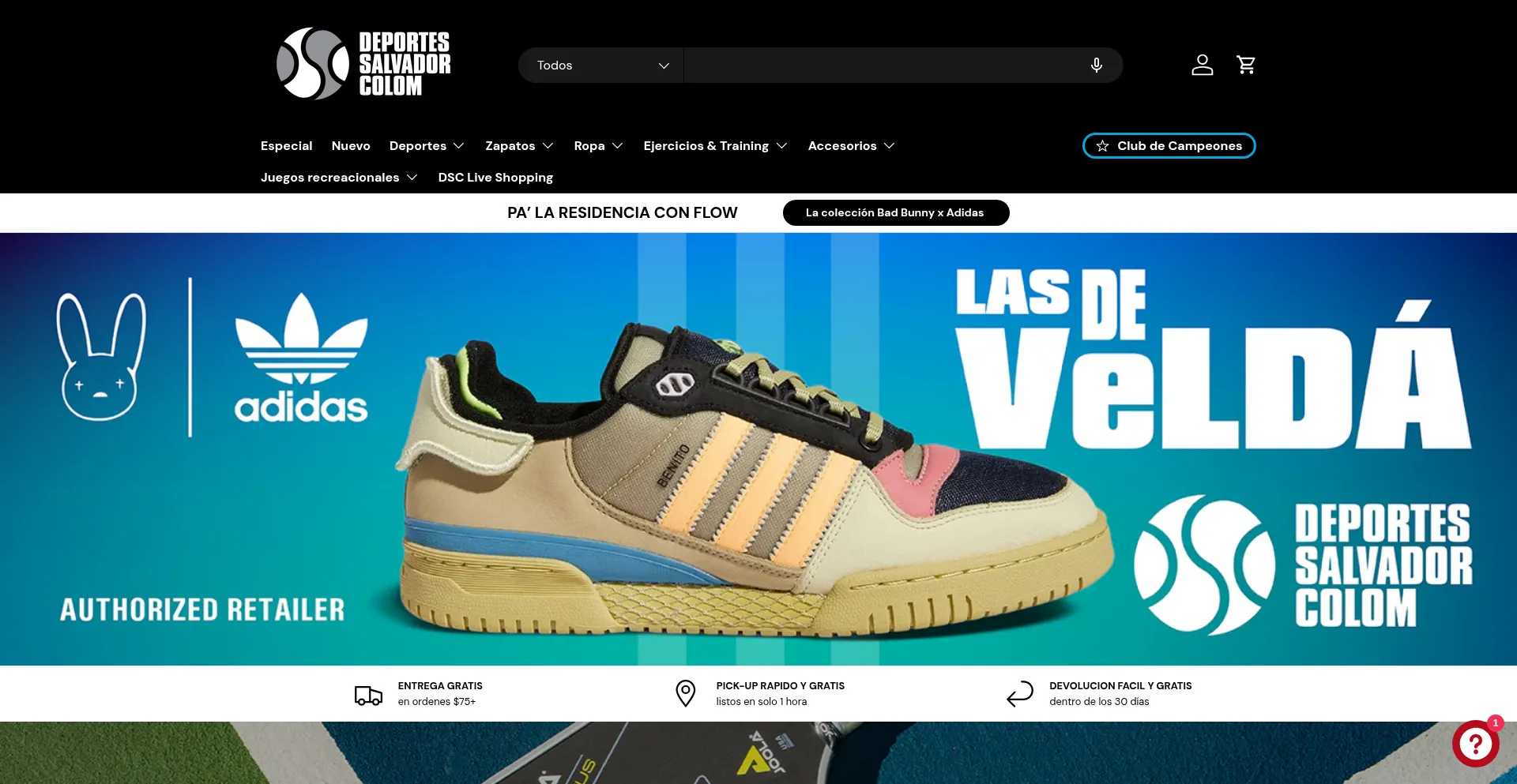 Website screenshot of Salvadorcolom.com