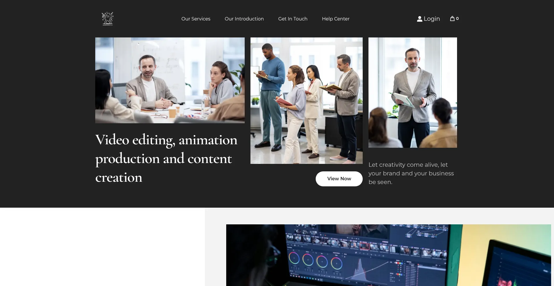 Salvidormotionstudio.com