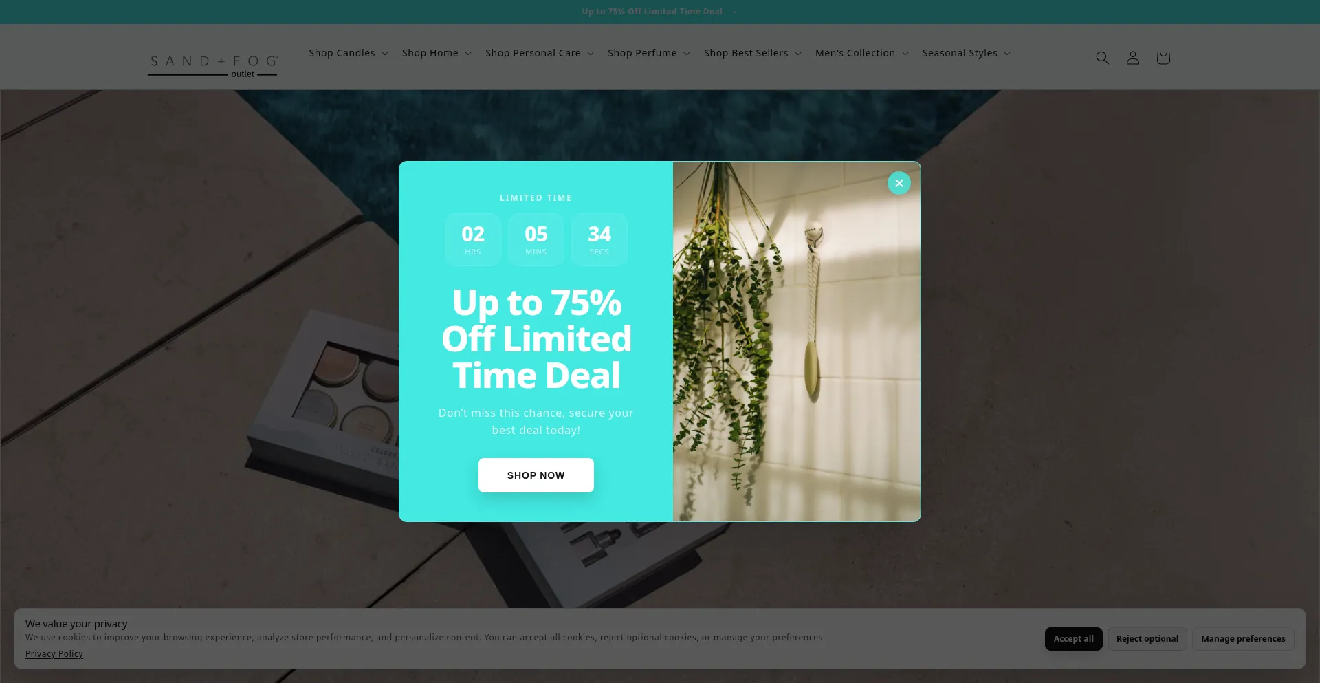 Sandandfogsshop.com
