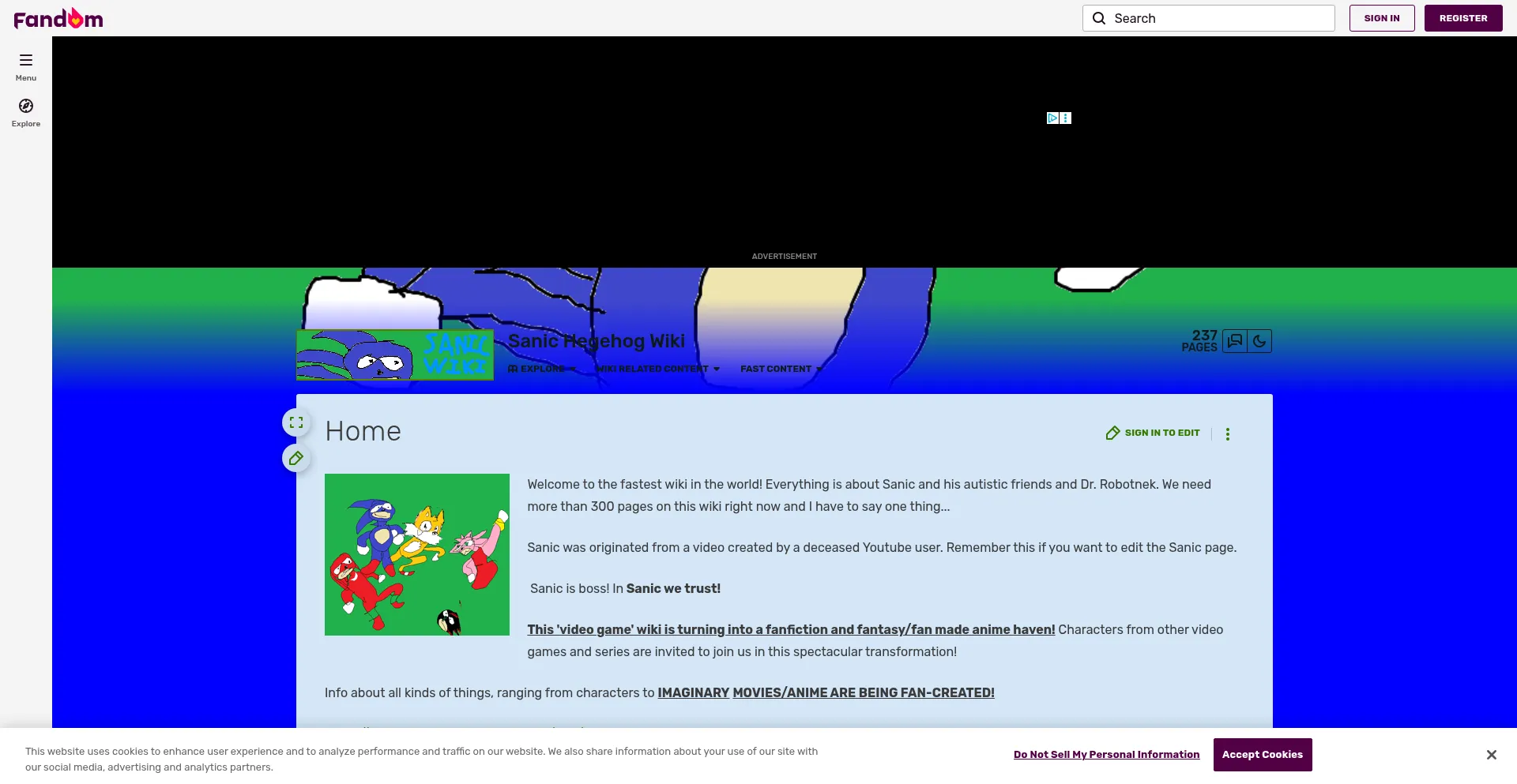 Sanicsource.fandom.com