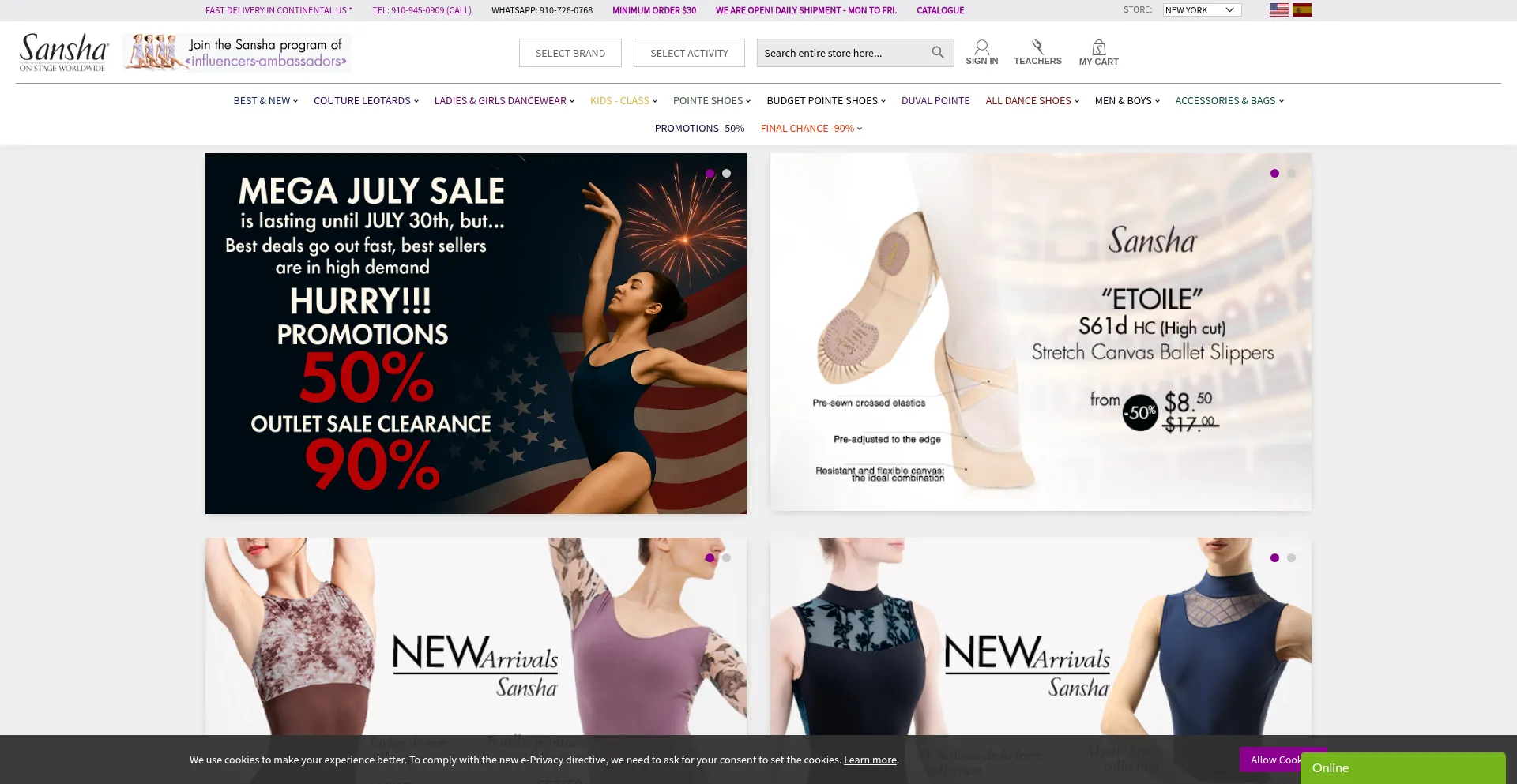 Website screenshot of Sansha.com