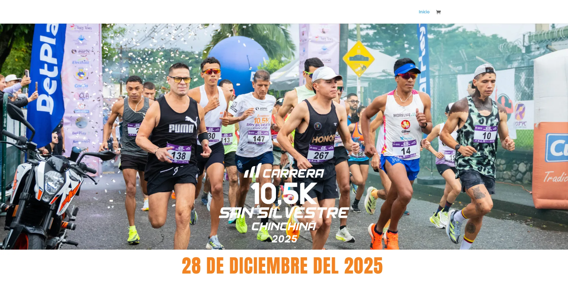 Website screenshot of Sansilvestrechinchina.com