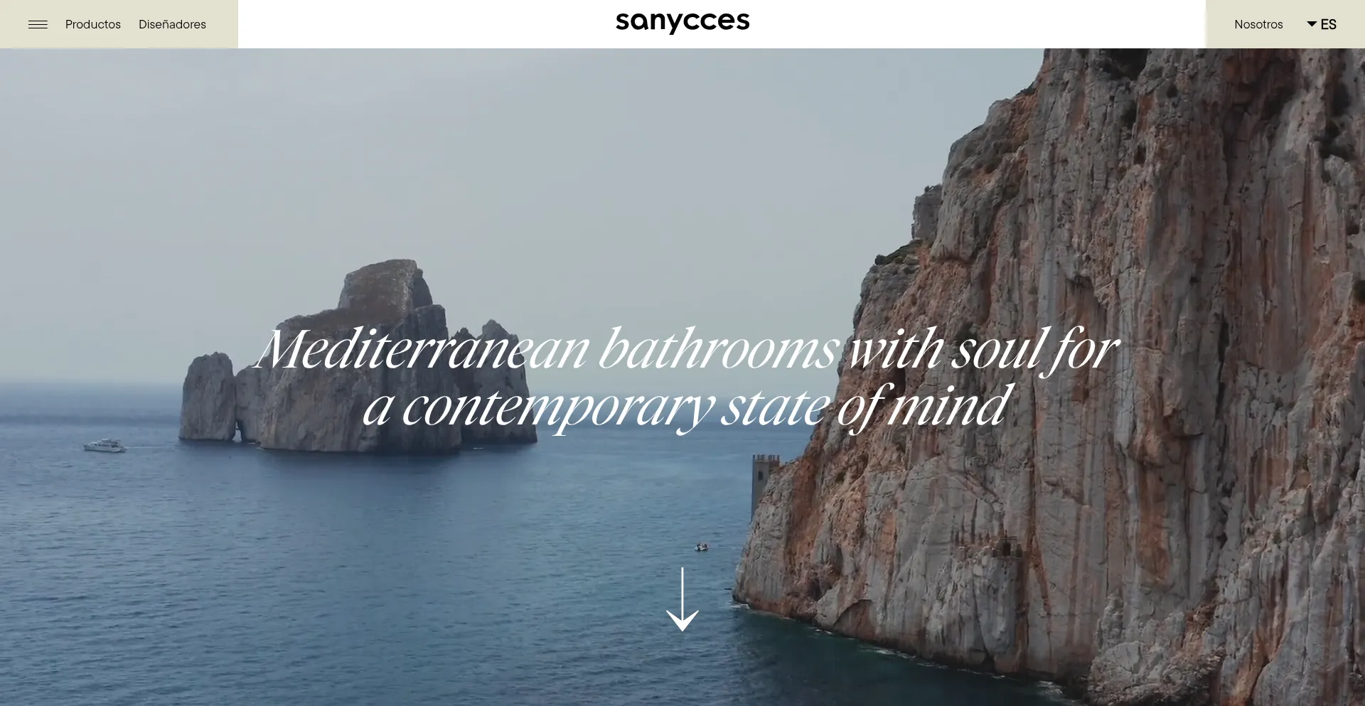 Website screenshot of Sanycces.es