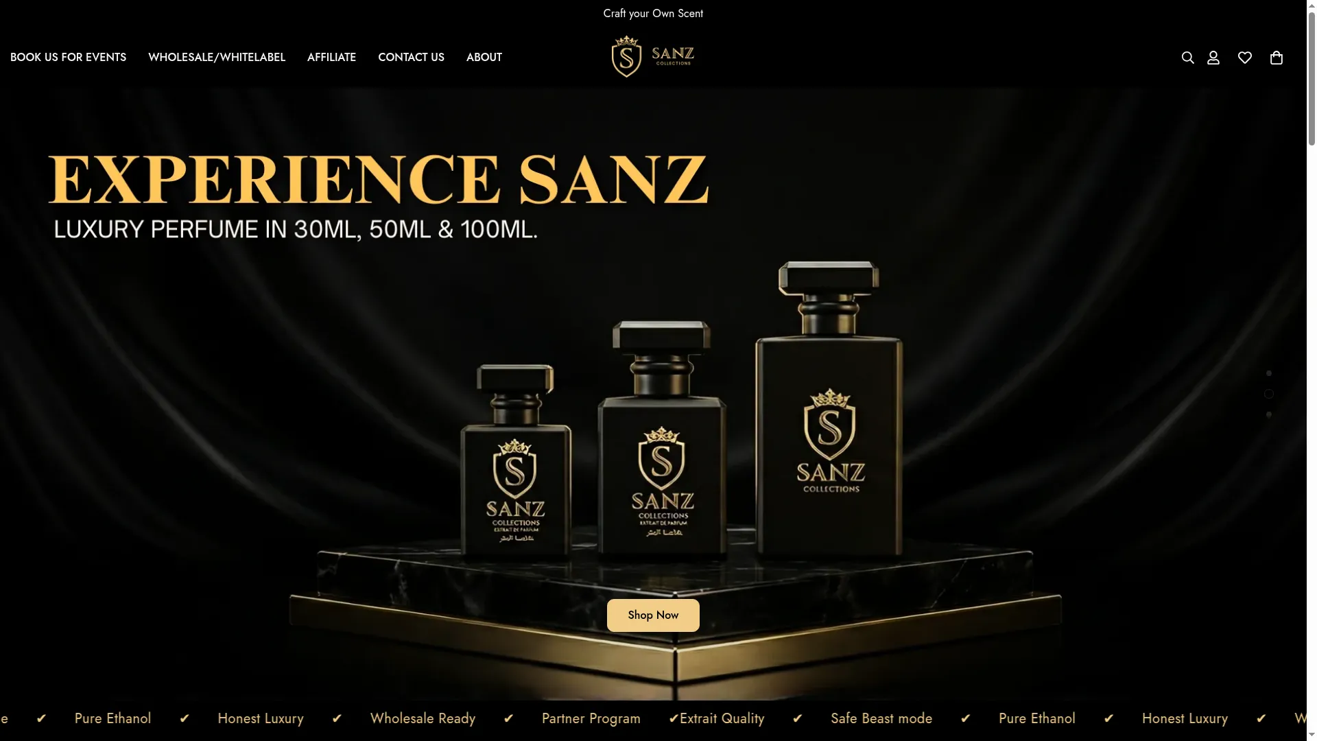 Sanzcollections.store