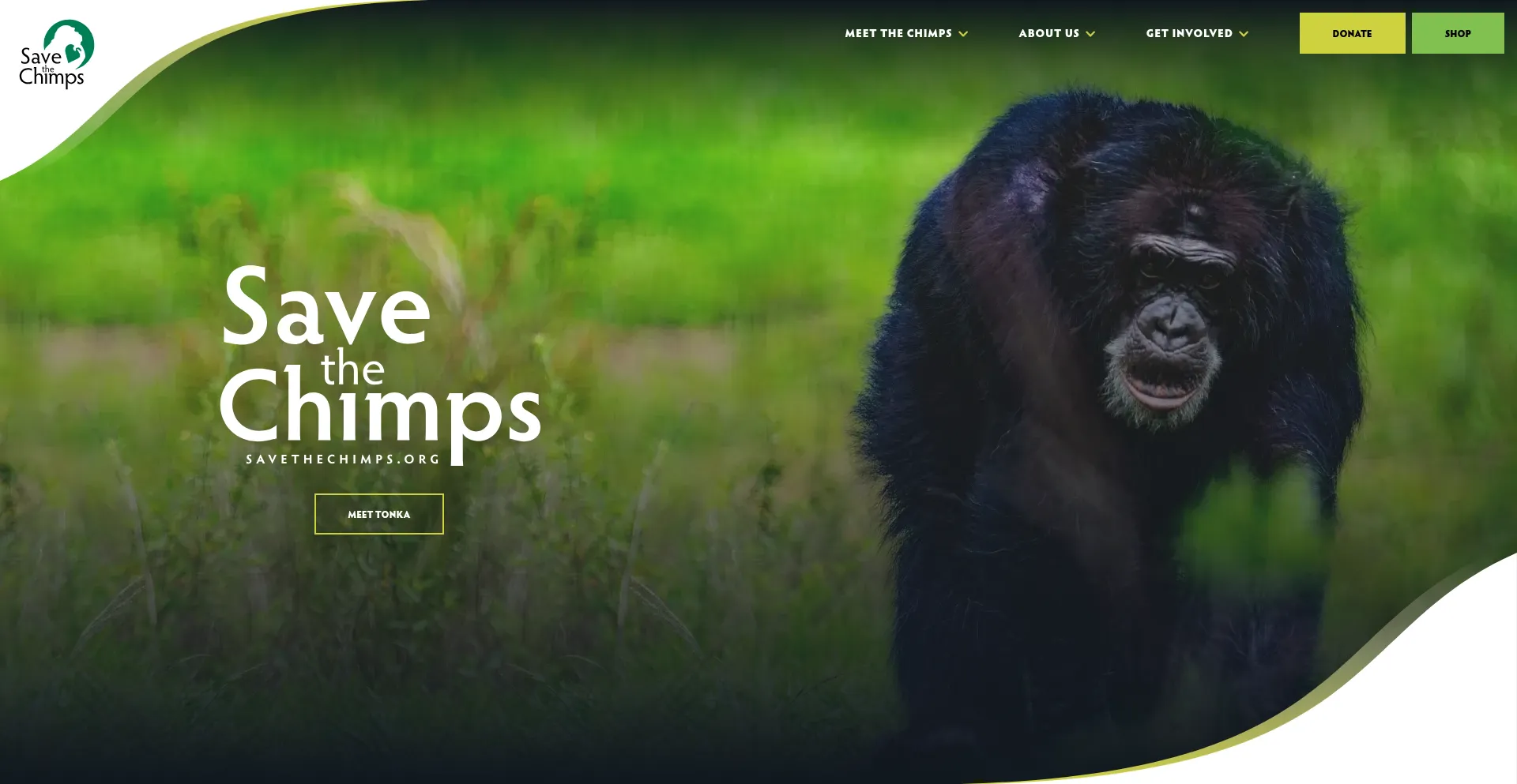 Savethechimps.org