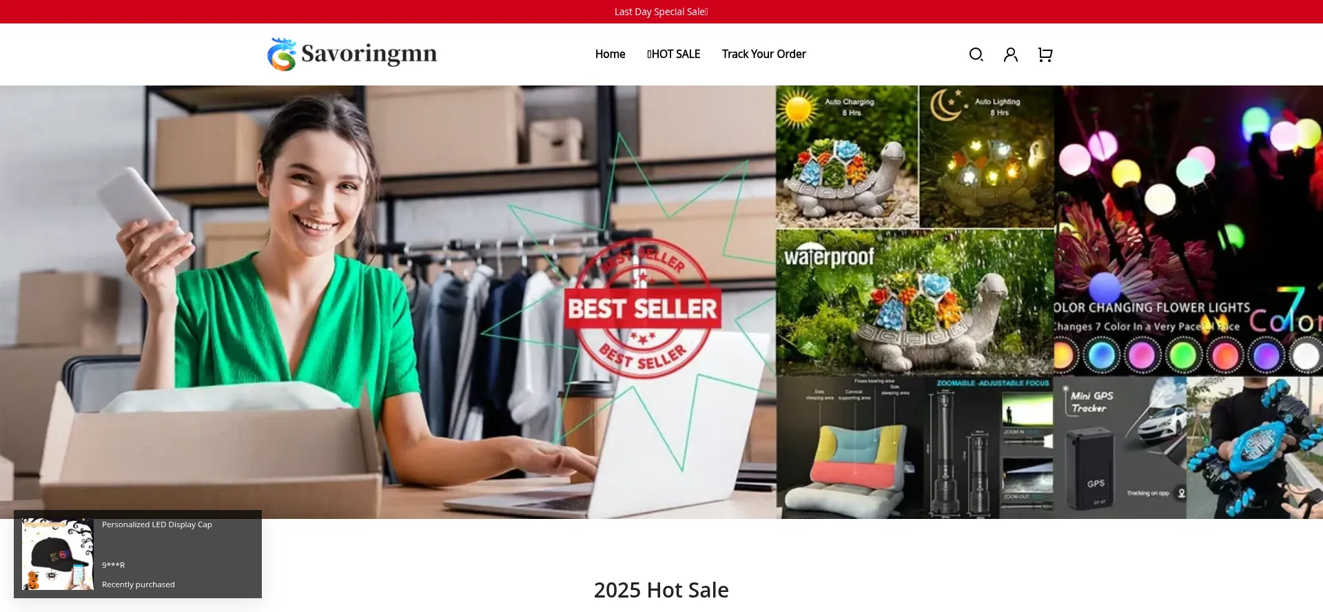 Website screenshot of Savoringmn.com