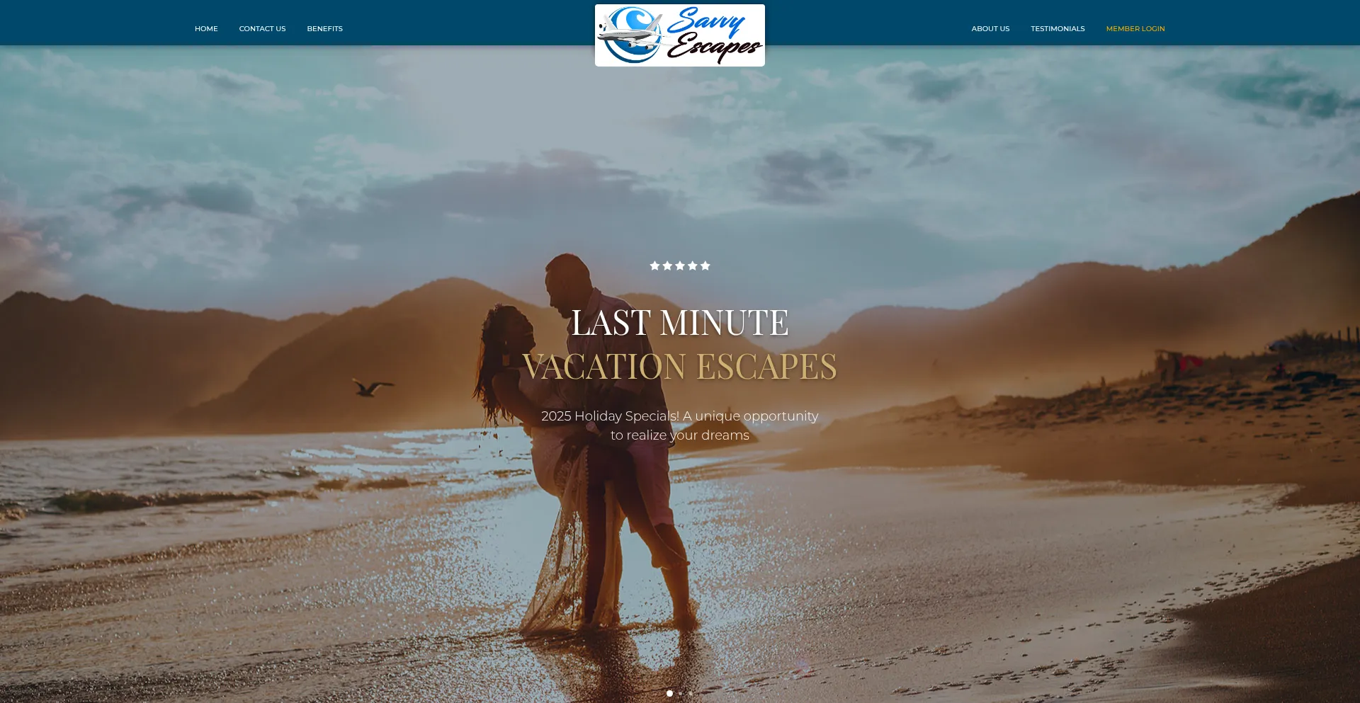 Website screenshot of Savvyescapes.net