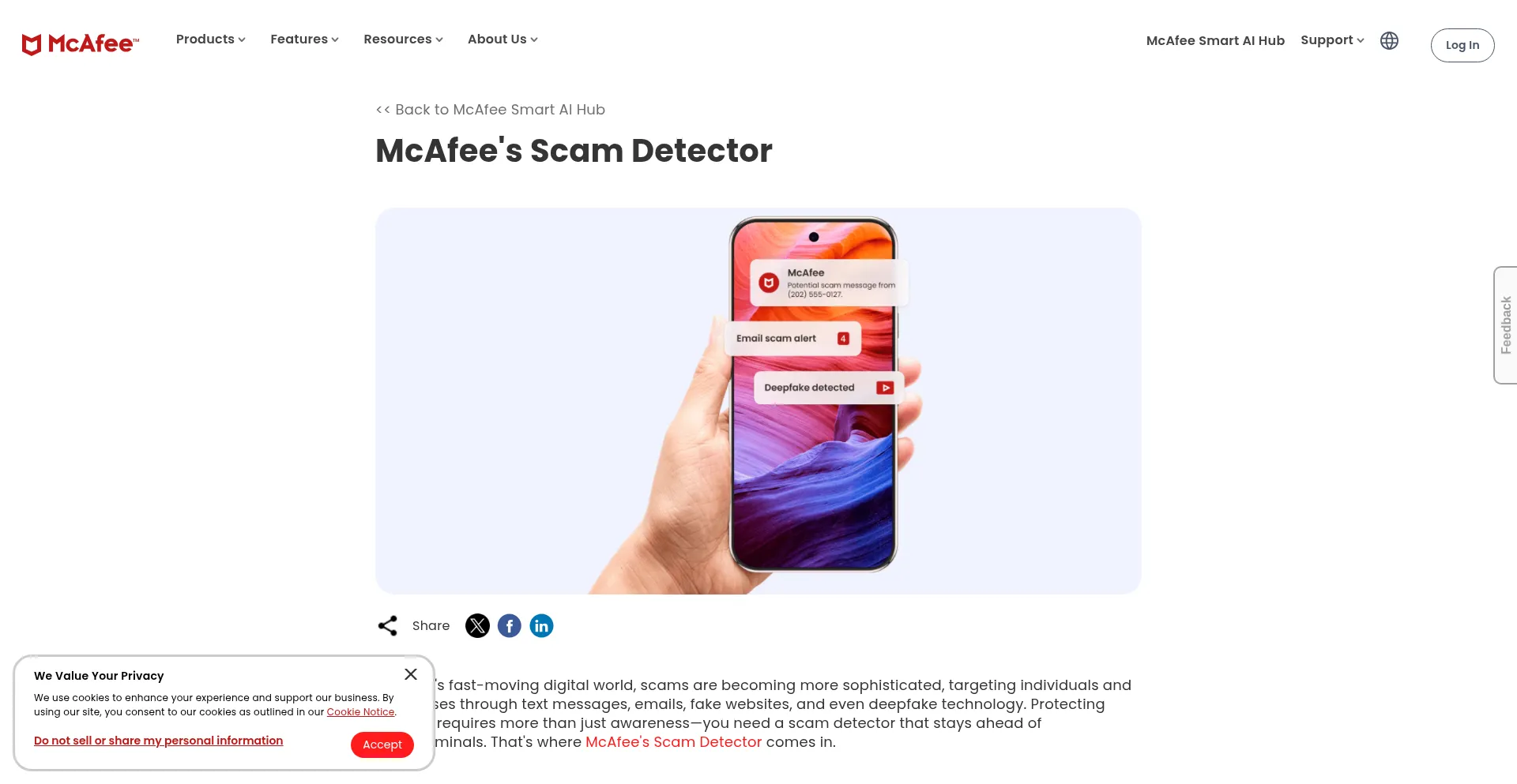 Website screenshot of Scam-detection.com