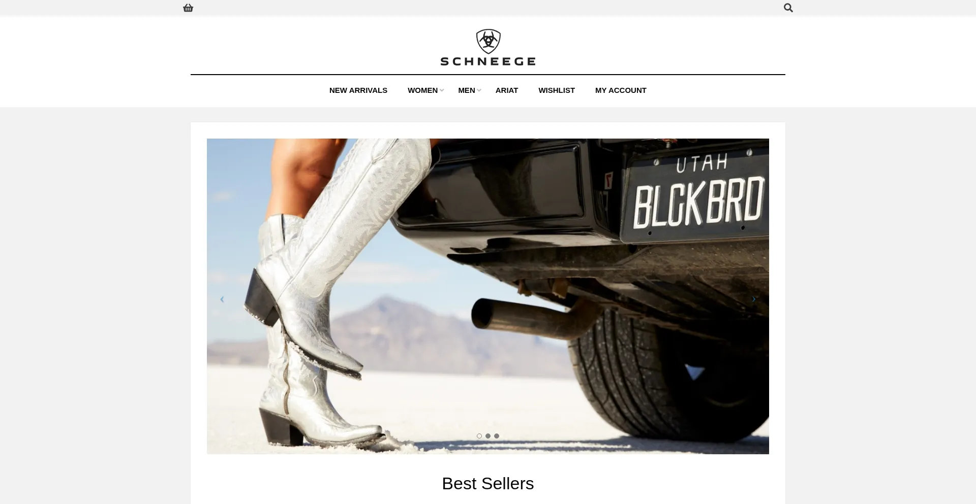 Website screenshot of Schneege.com