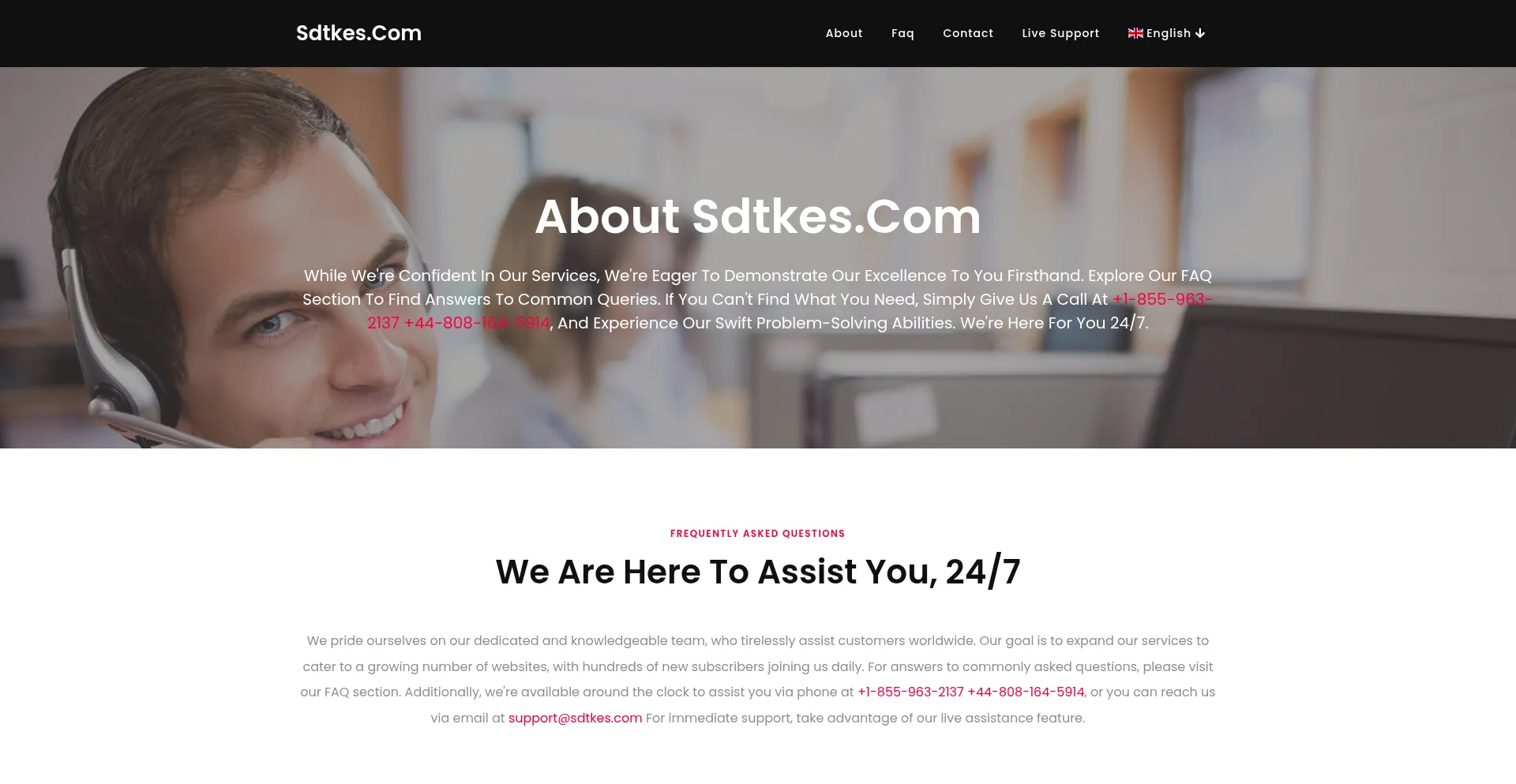 Website screenshot of Sdtkes.com