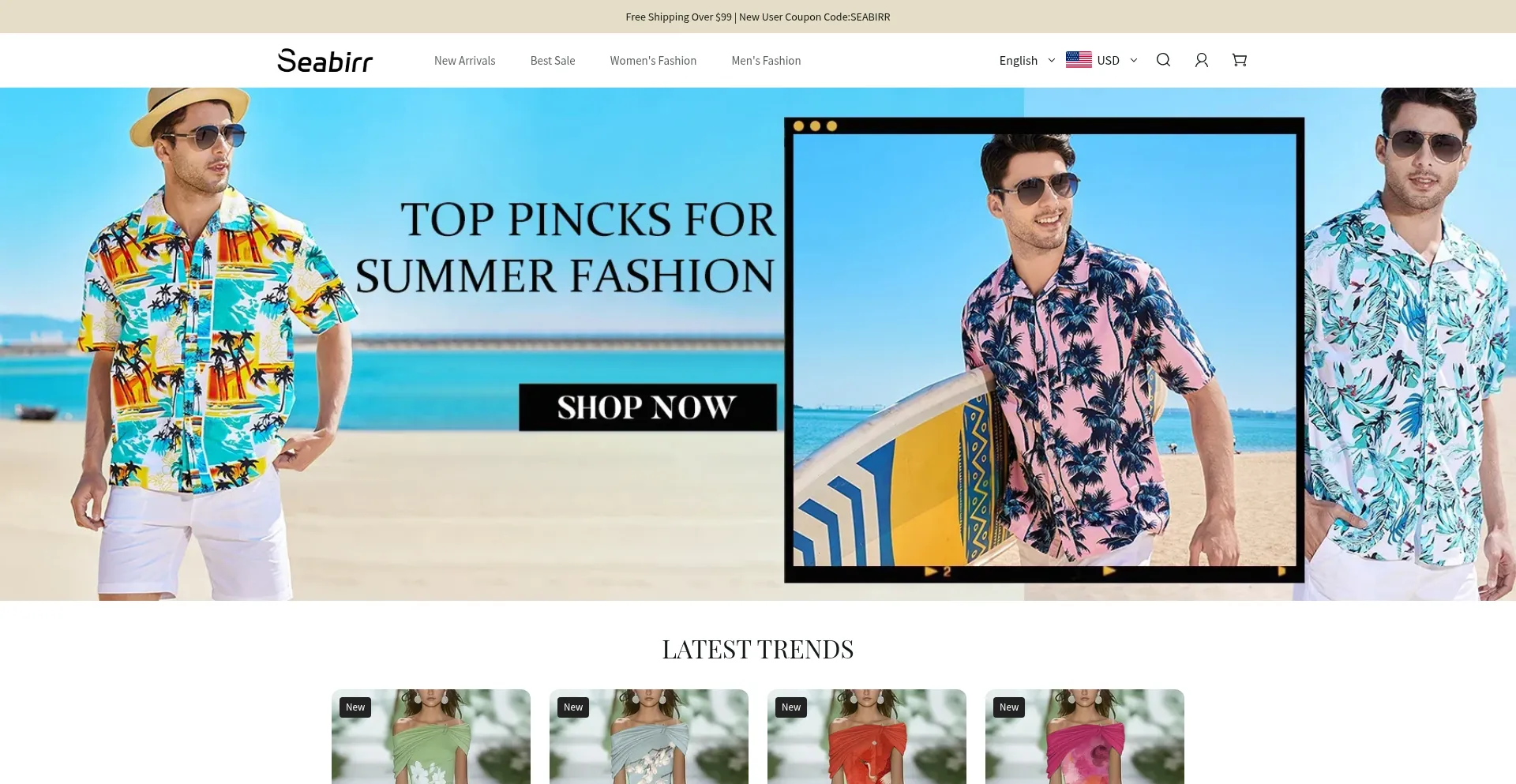 Website screenshot of Seabirr.com