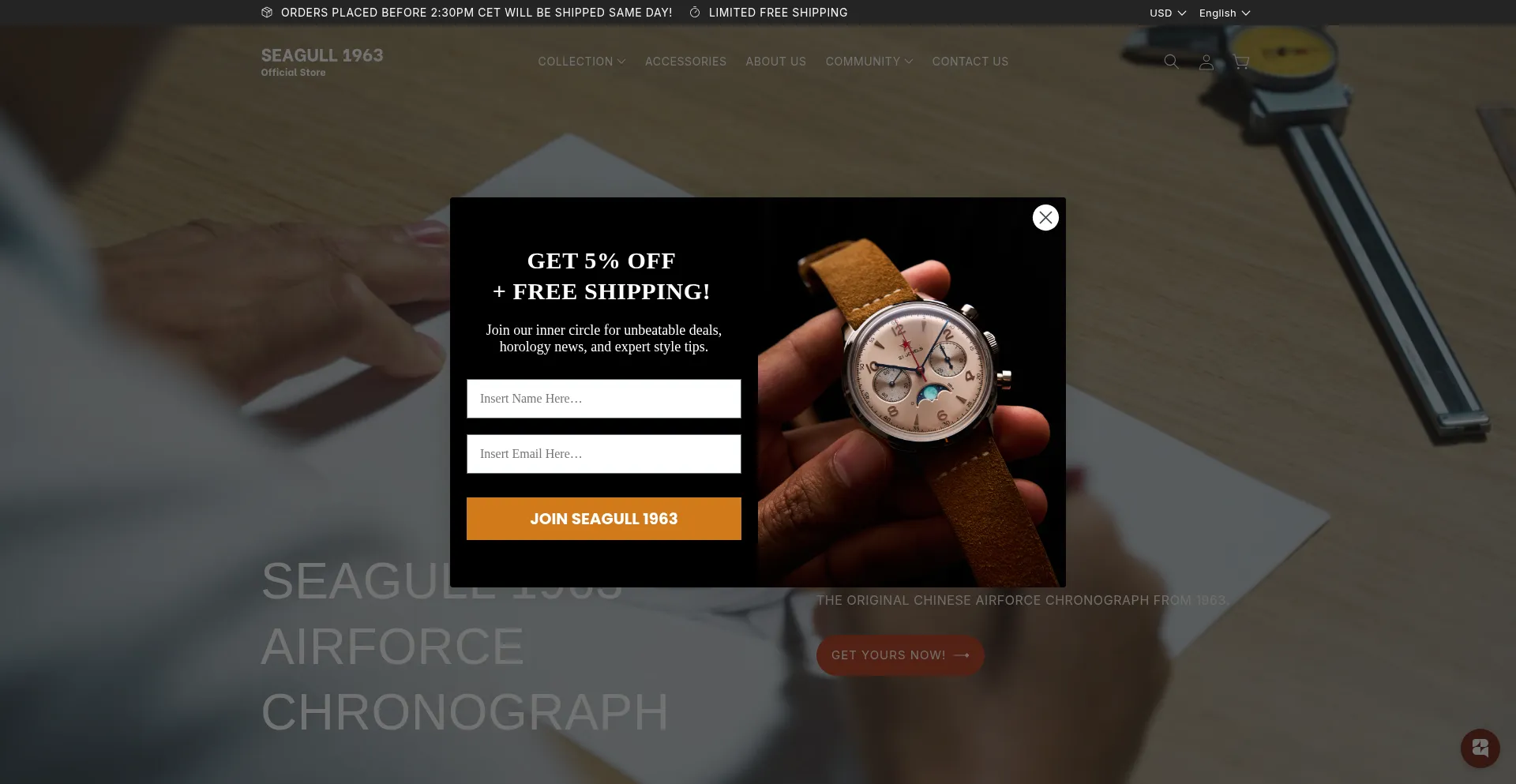 Website screenshot of Seagull1963.com