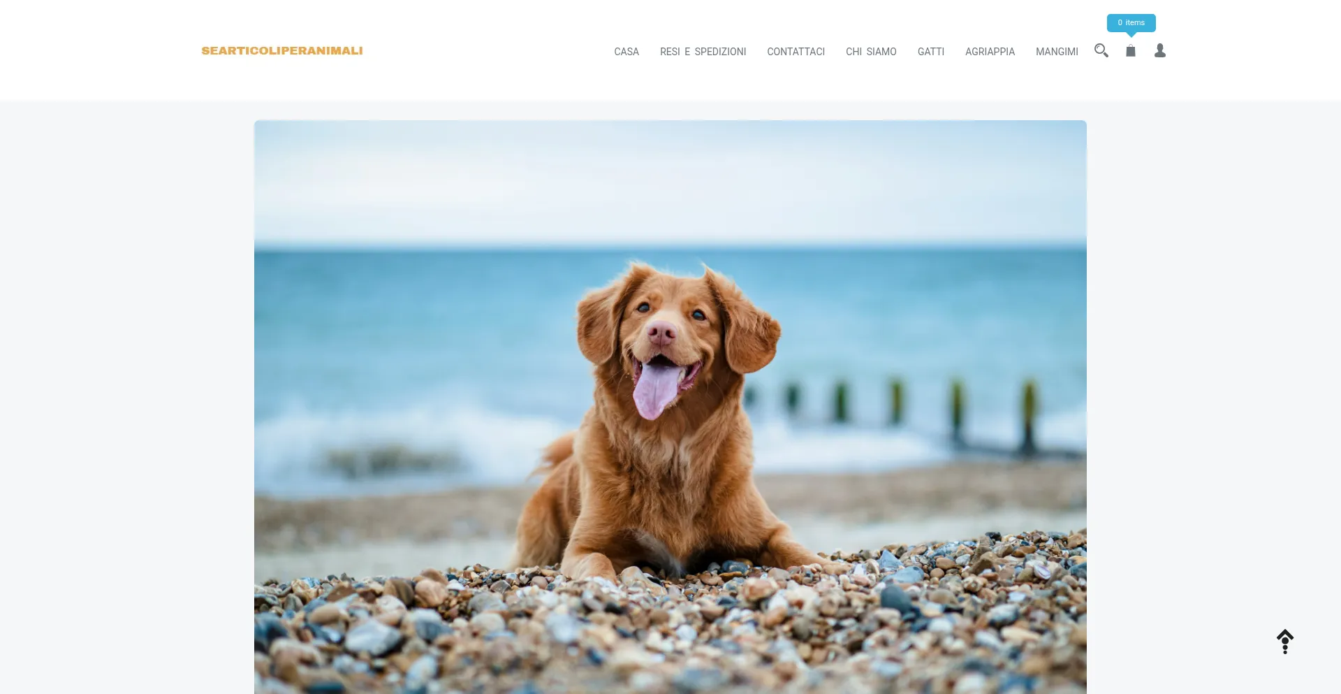 Searticoliperanimali.com