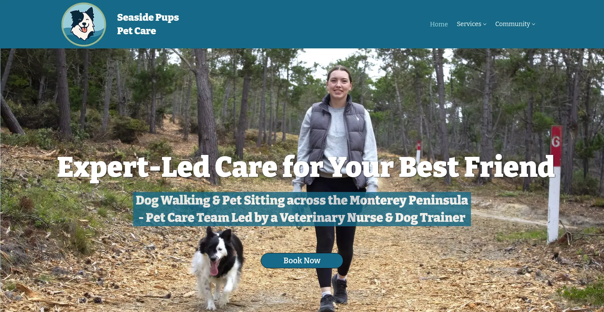 Seasidepupspetcare.com