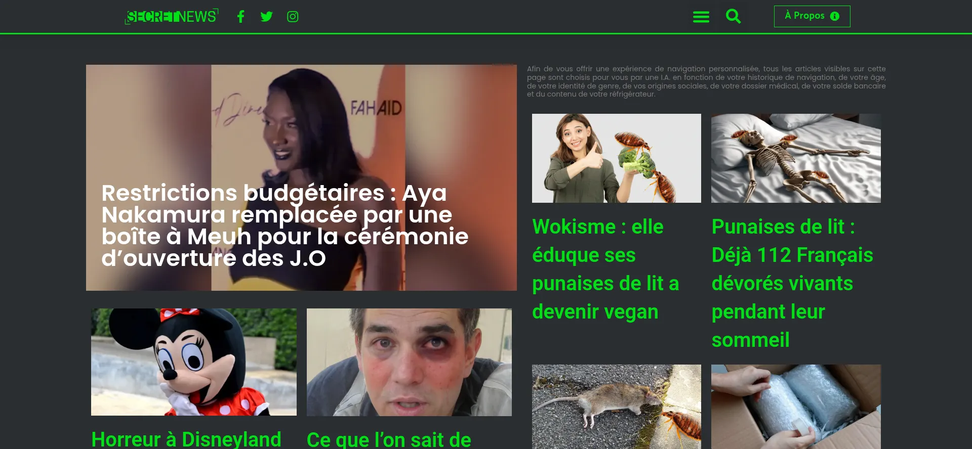 Website screenshot of Secretnews.fr