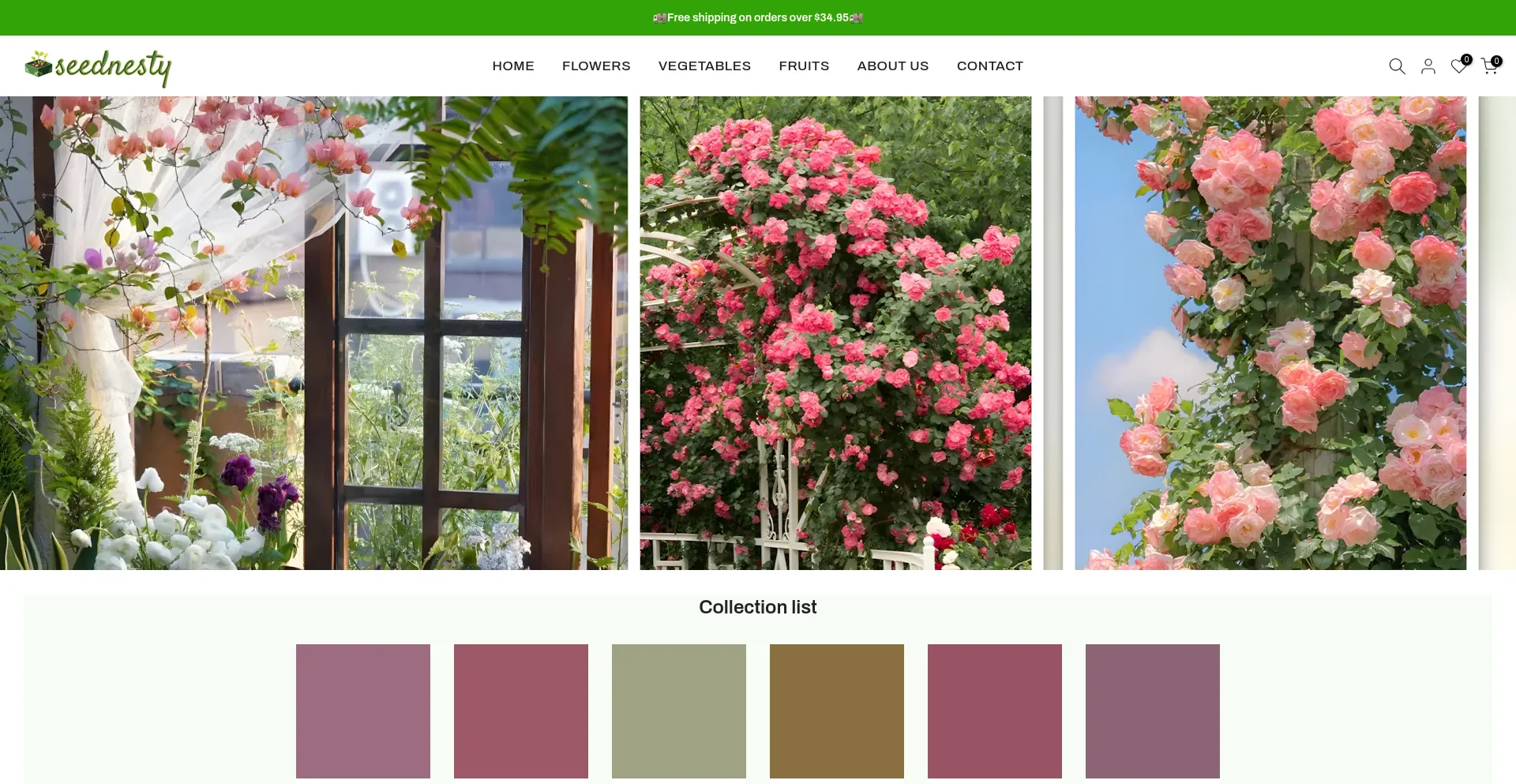 Seednesty.com