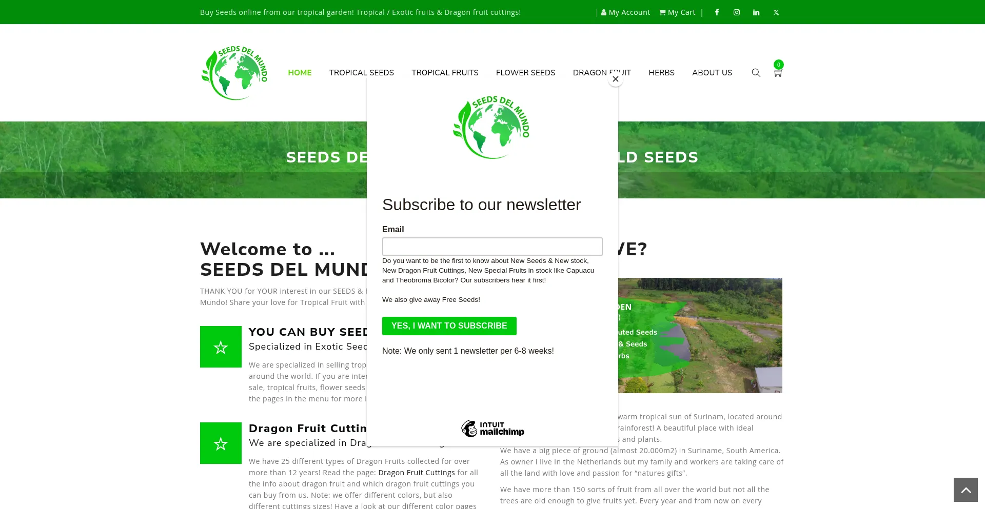 Seedsdelmundo.com